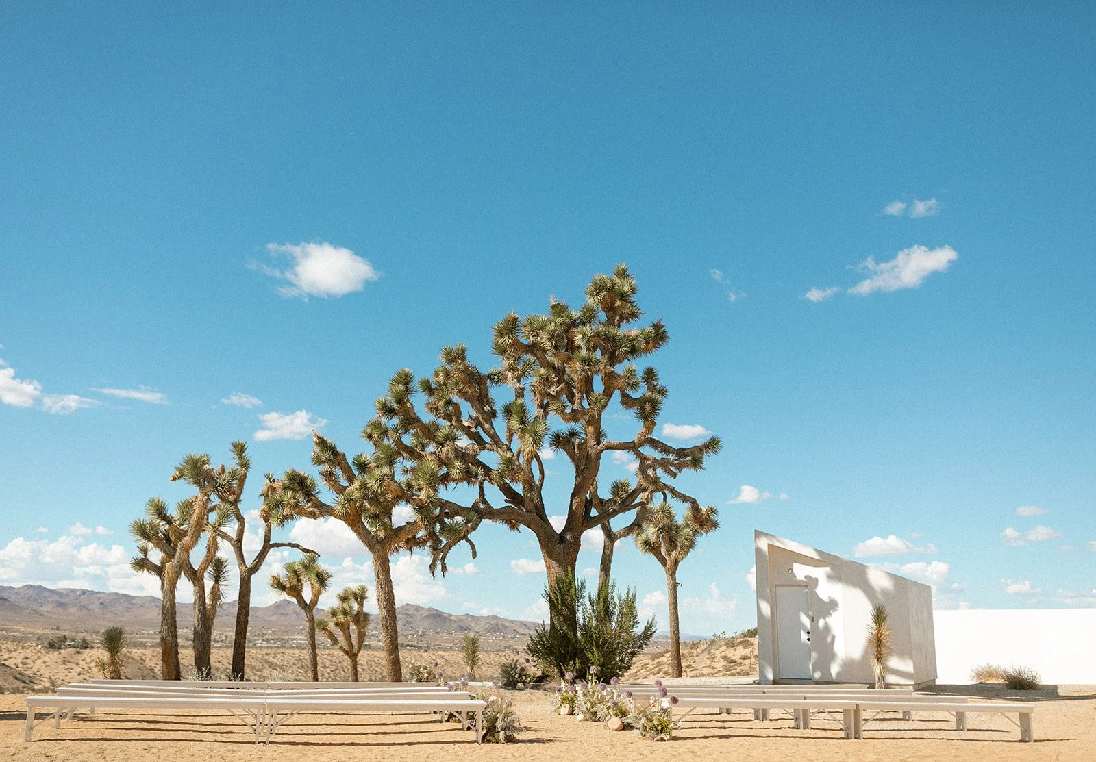 joshua-tree-wedding-planner-29.jpg