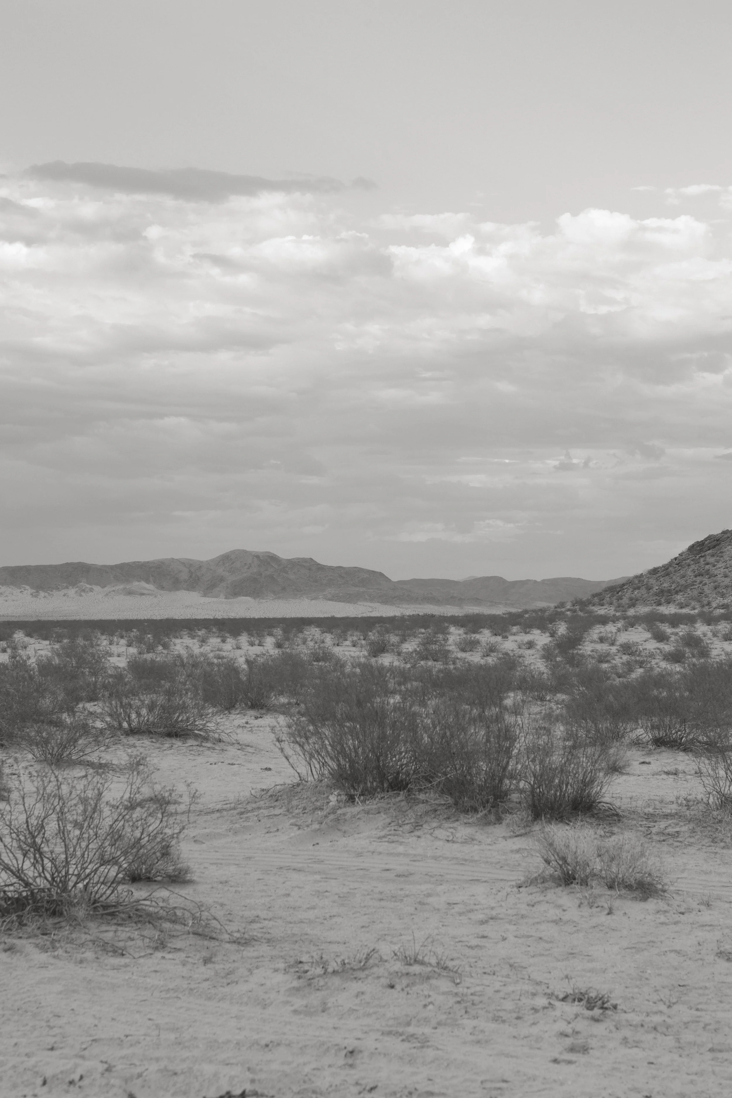 Best Wedding Planner