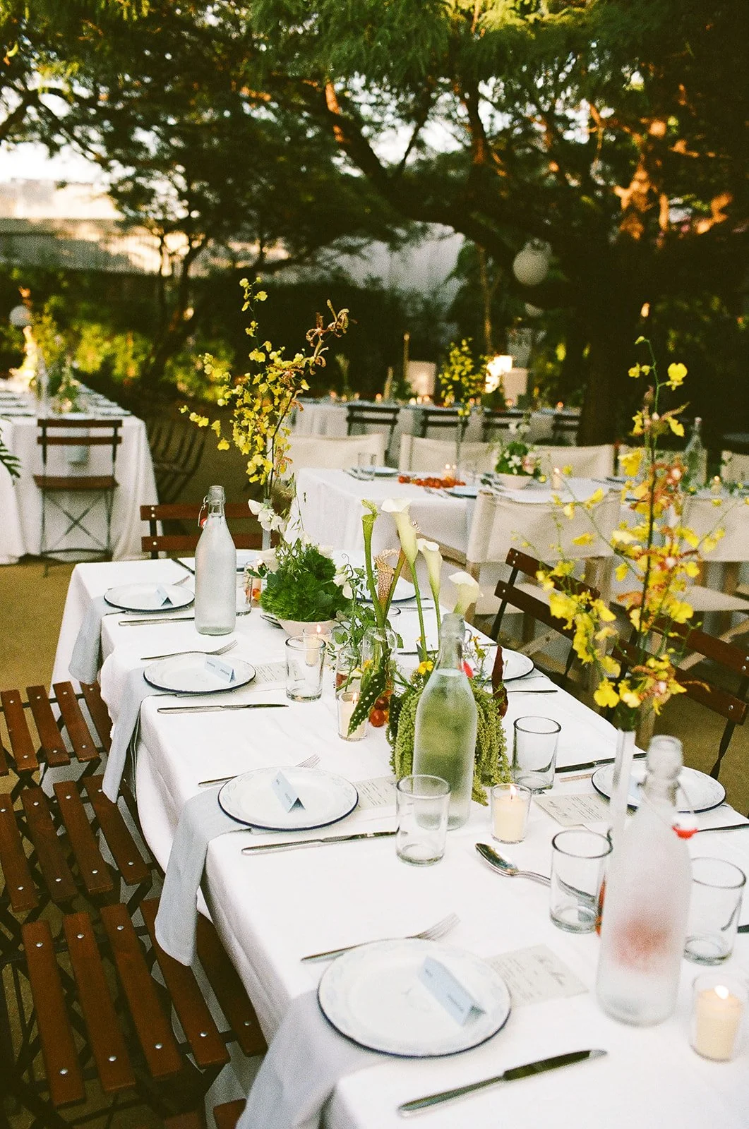 @vanessajanephoto