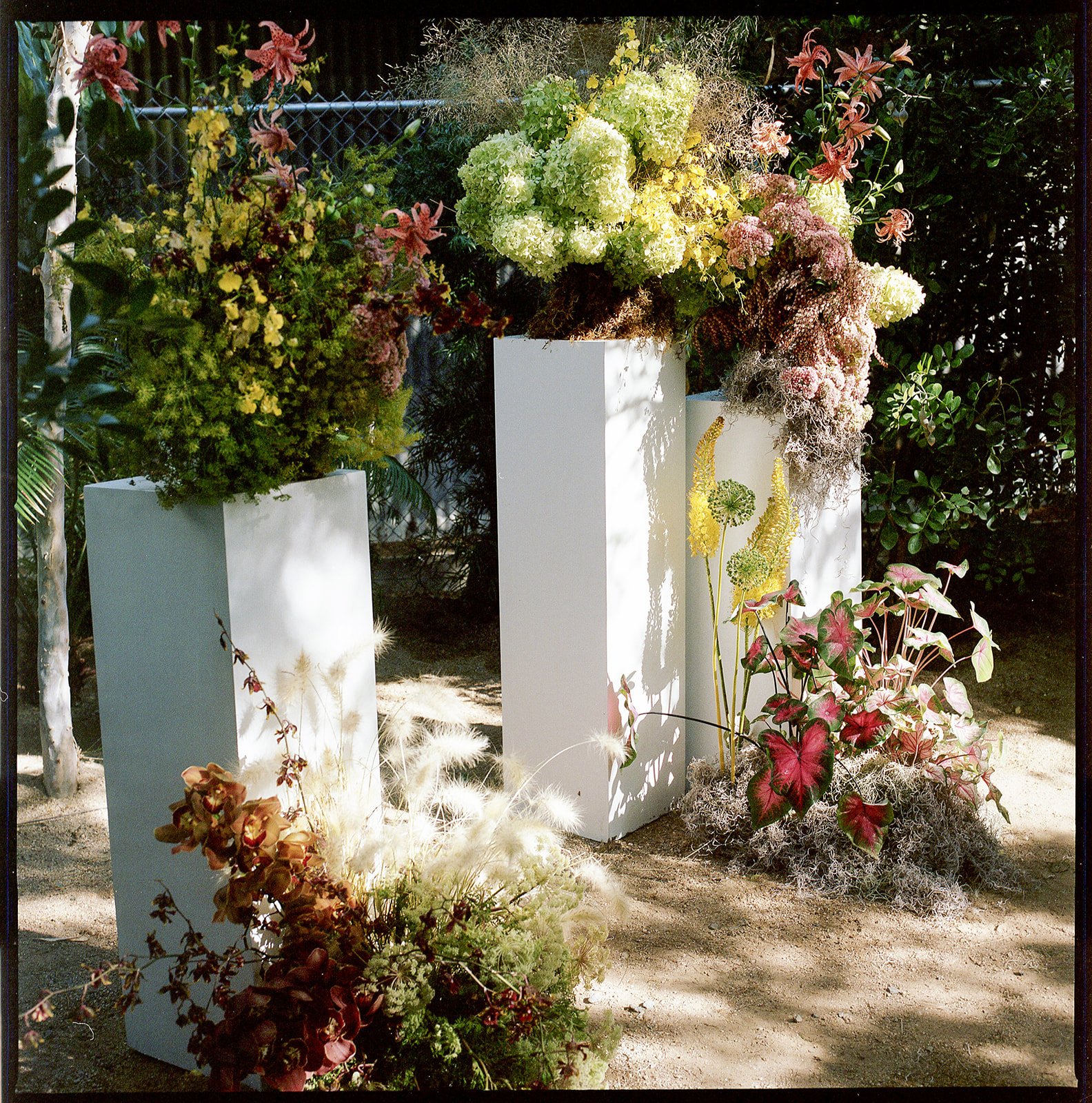 3B&C8.23.25-39.jpg
