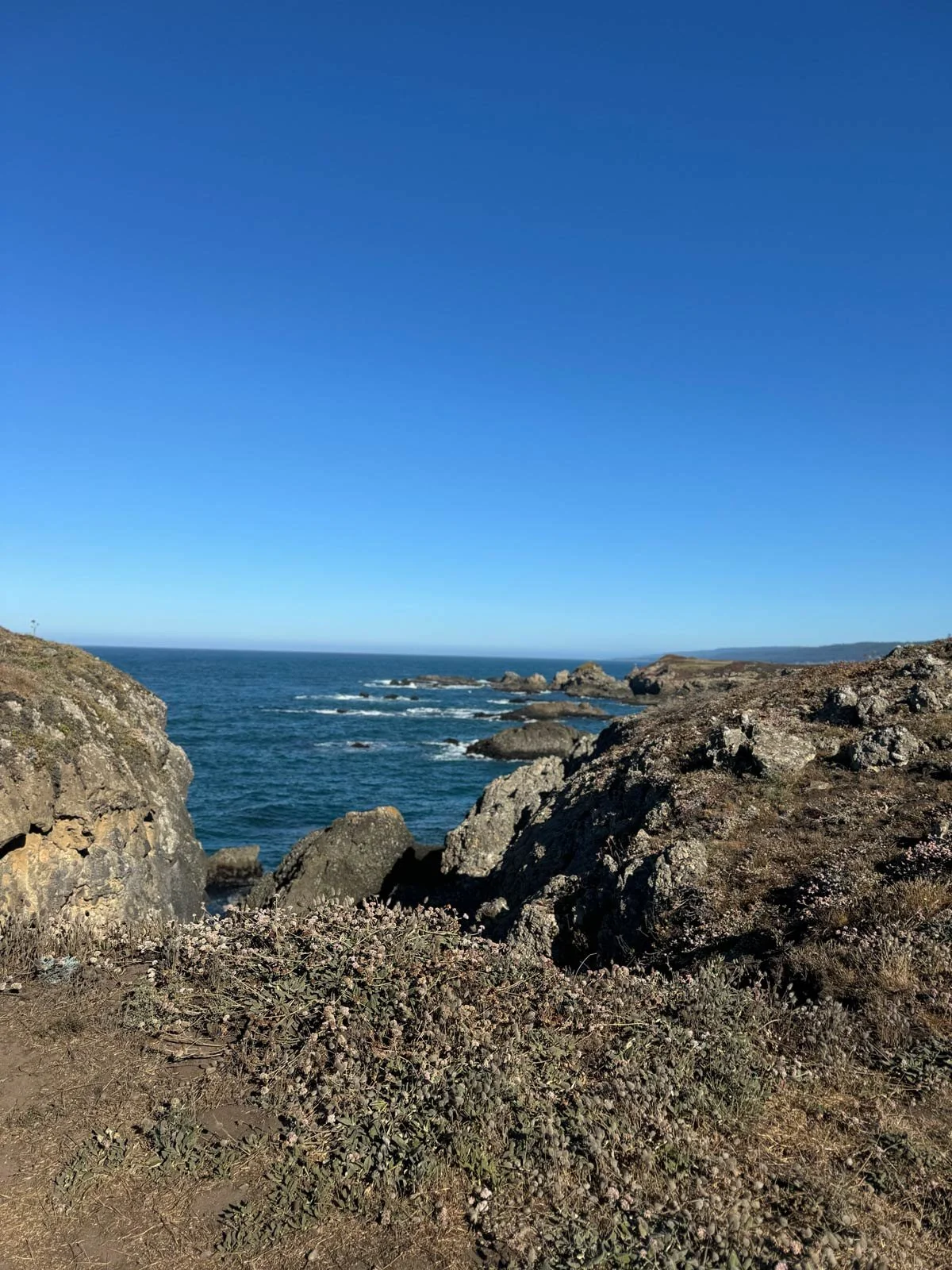 Sea Ranch Lodge Wedding