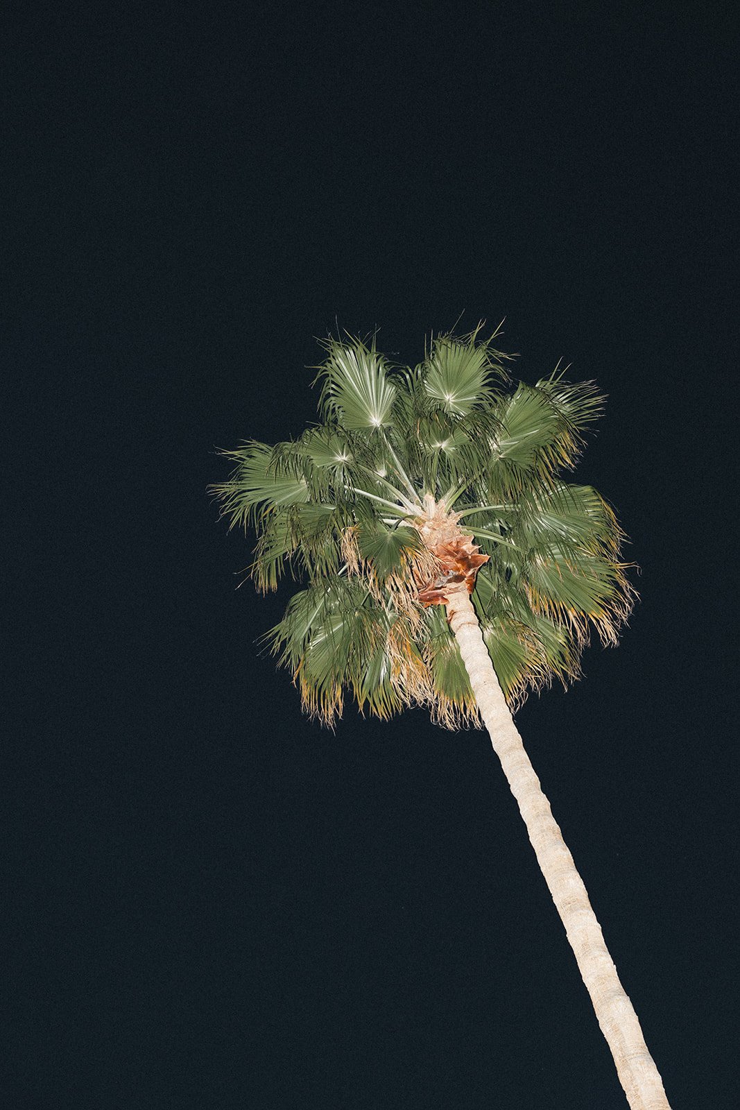 cedarandpines-nicole-lee-wedding-989 copy.jpg