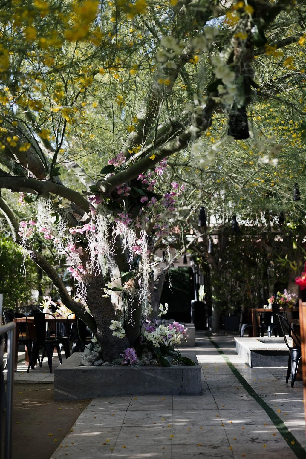 Luxury Wedding Planner