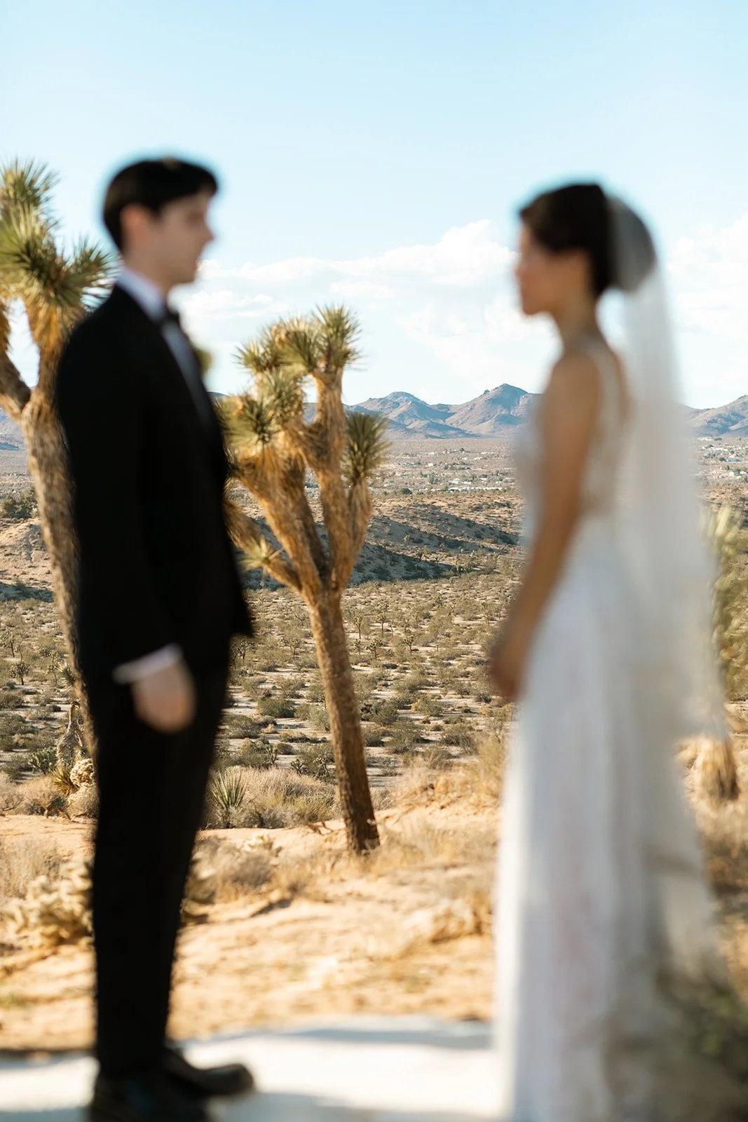 joshua-tree-destination-wedding-planner-10.jpg