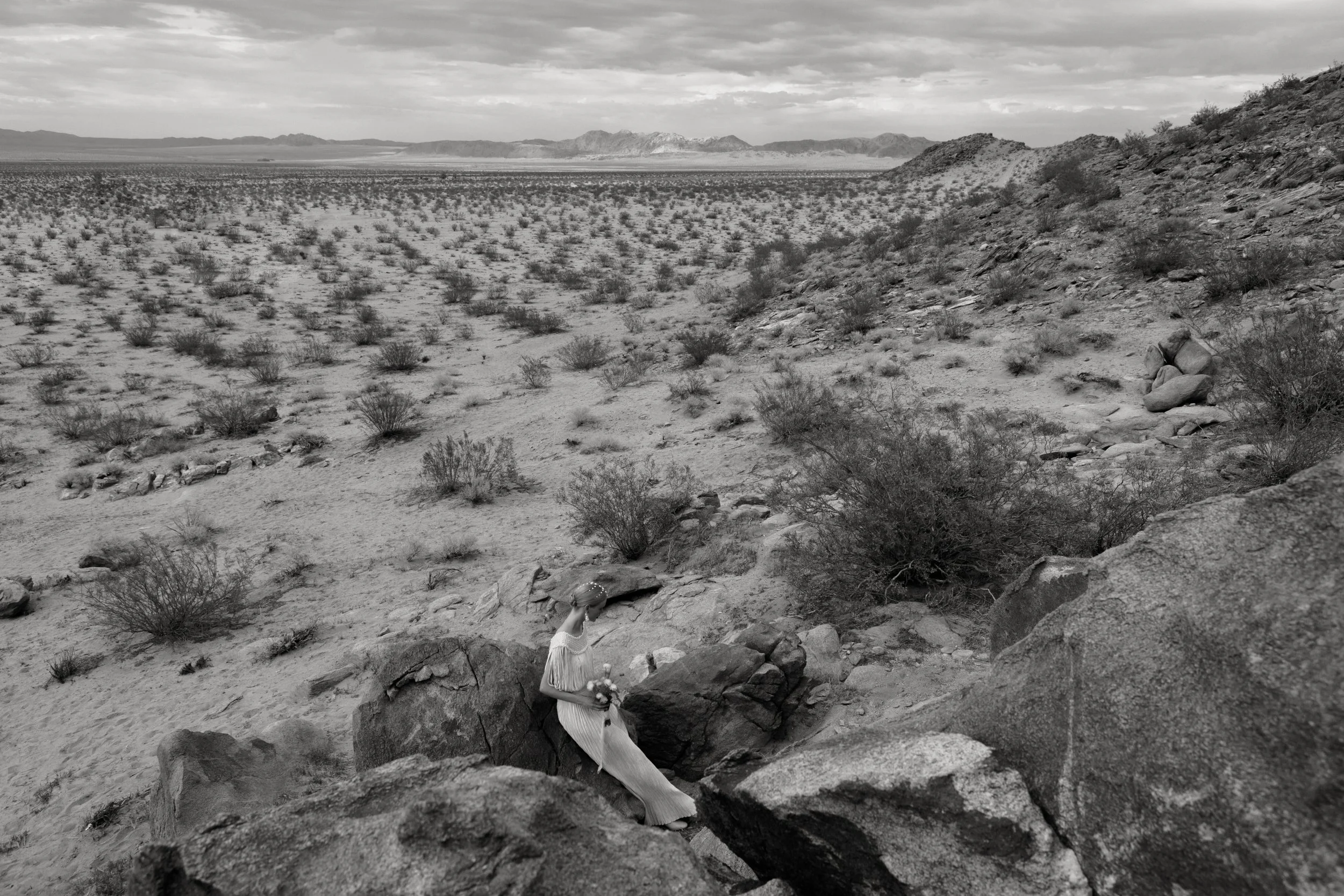 California Wedding Planner