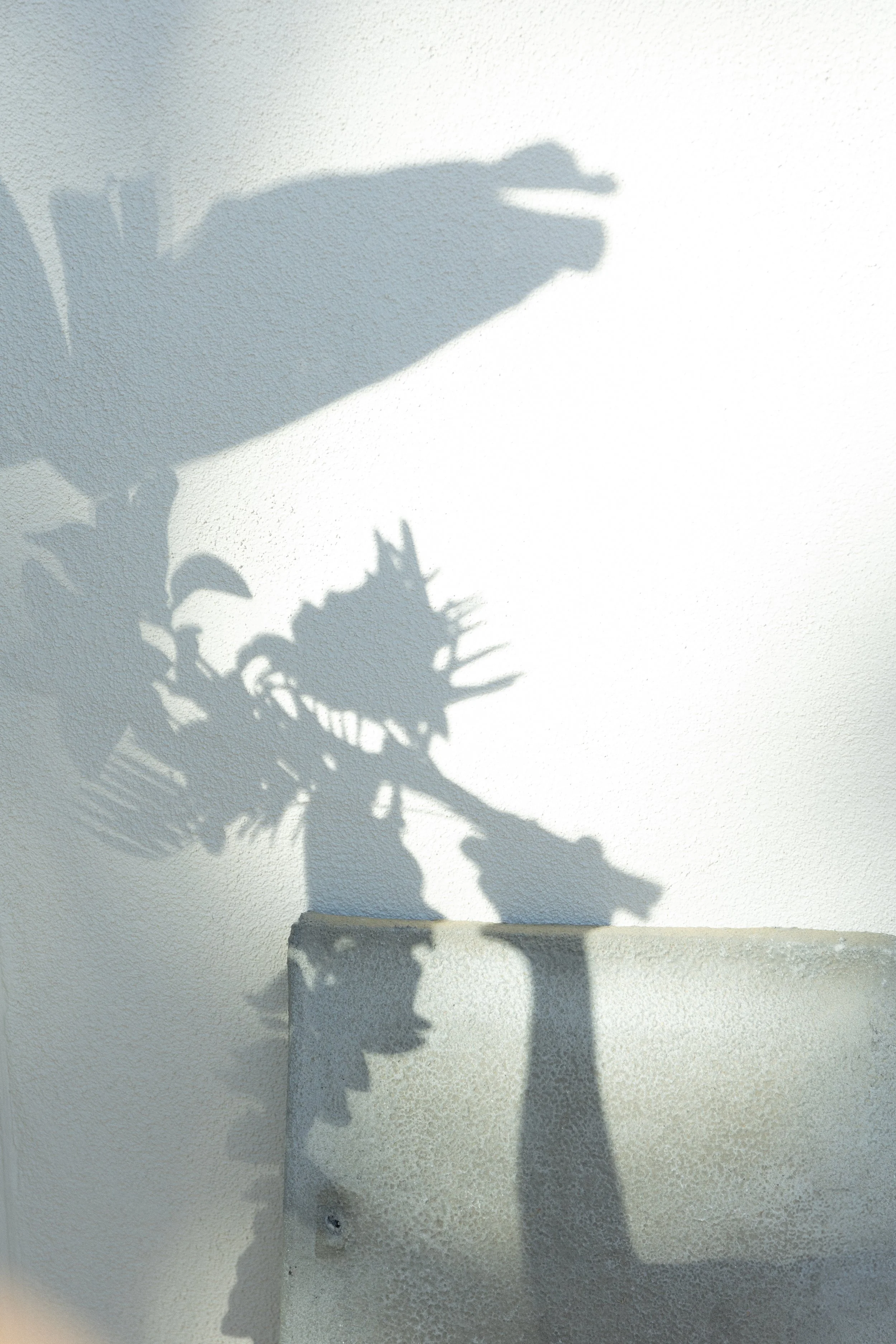 California Wedding Planner