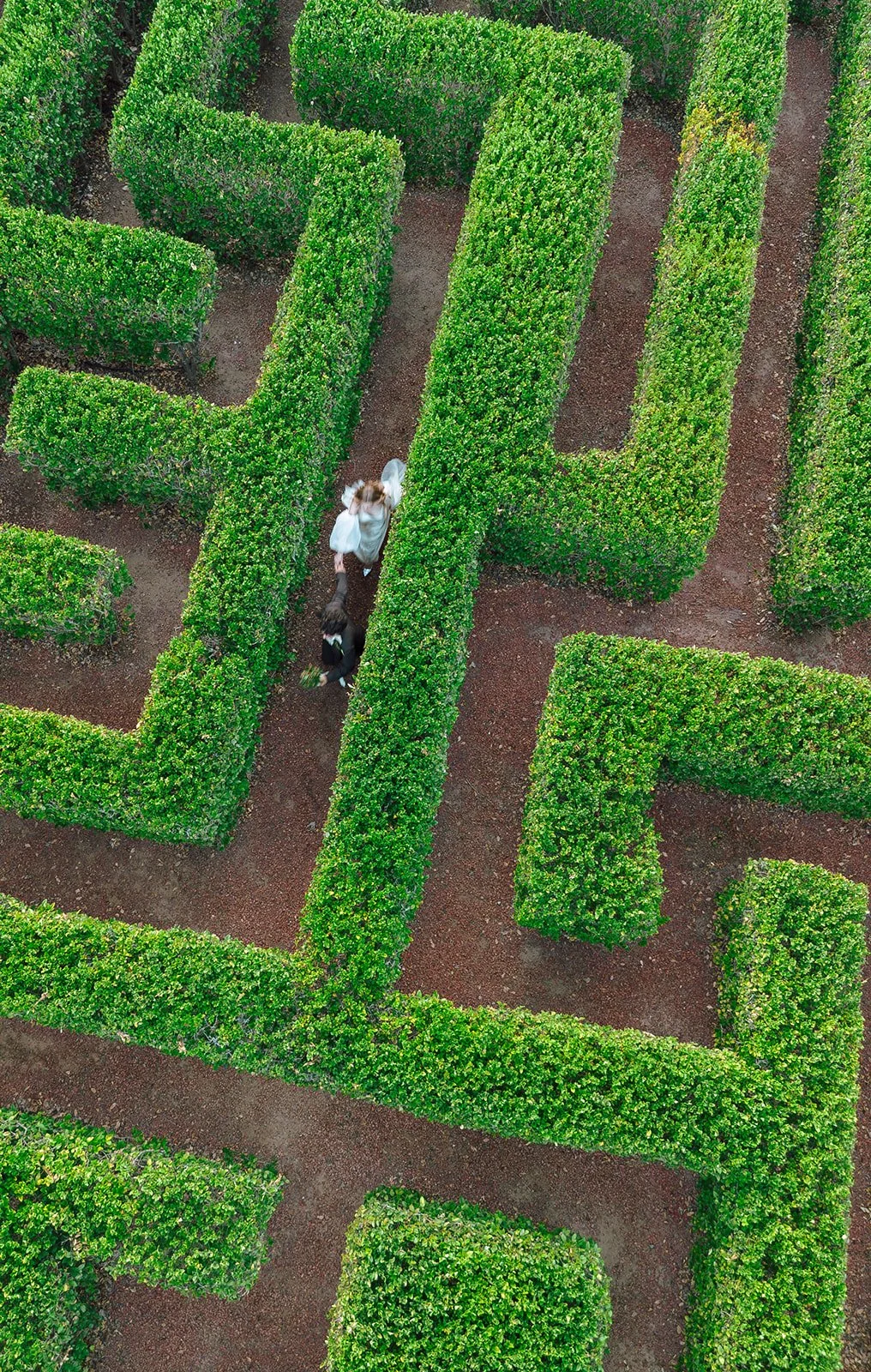 ivy-manor-wedding-drone-13.jpg