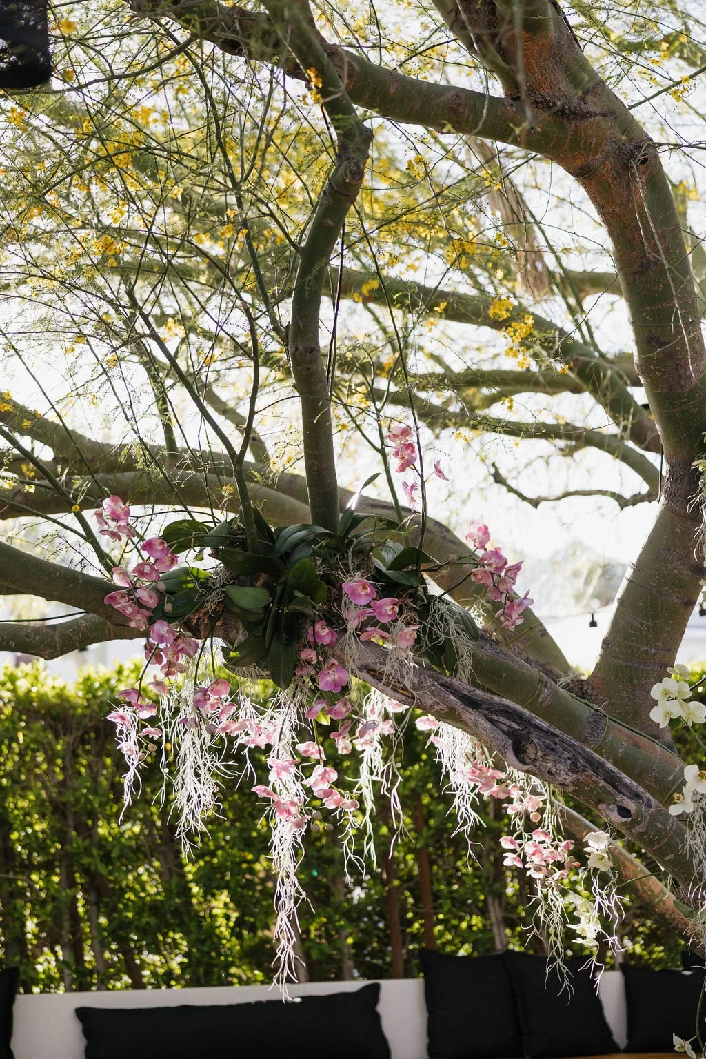 Luxury Wedding Planner