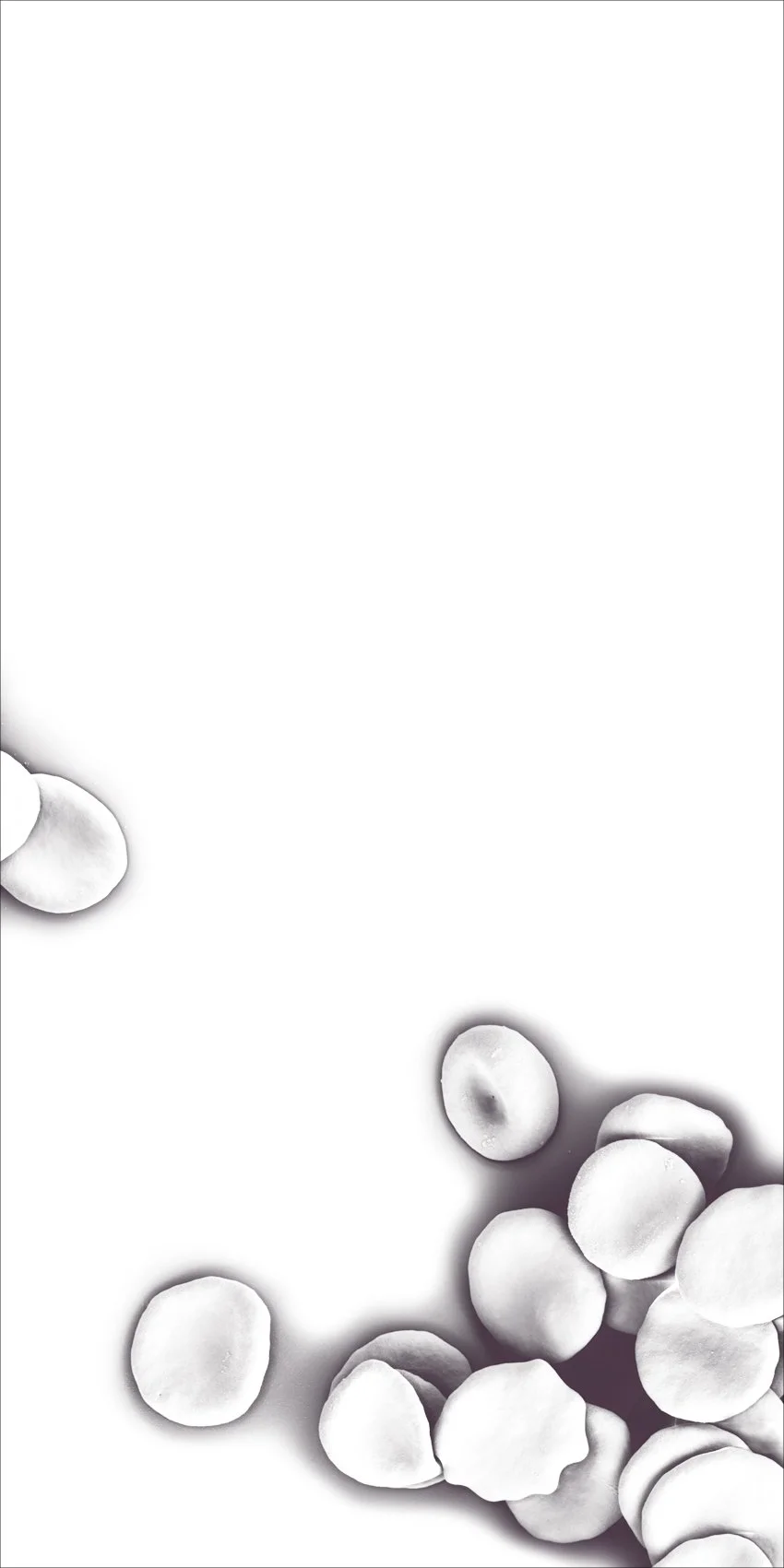 09_VT_1215x243cm.jpg