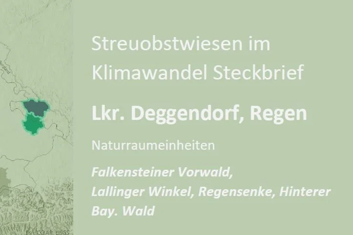 Regionale Steckbriefe