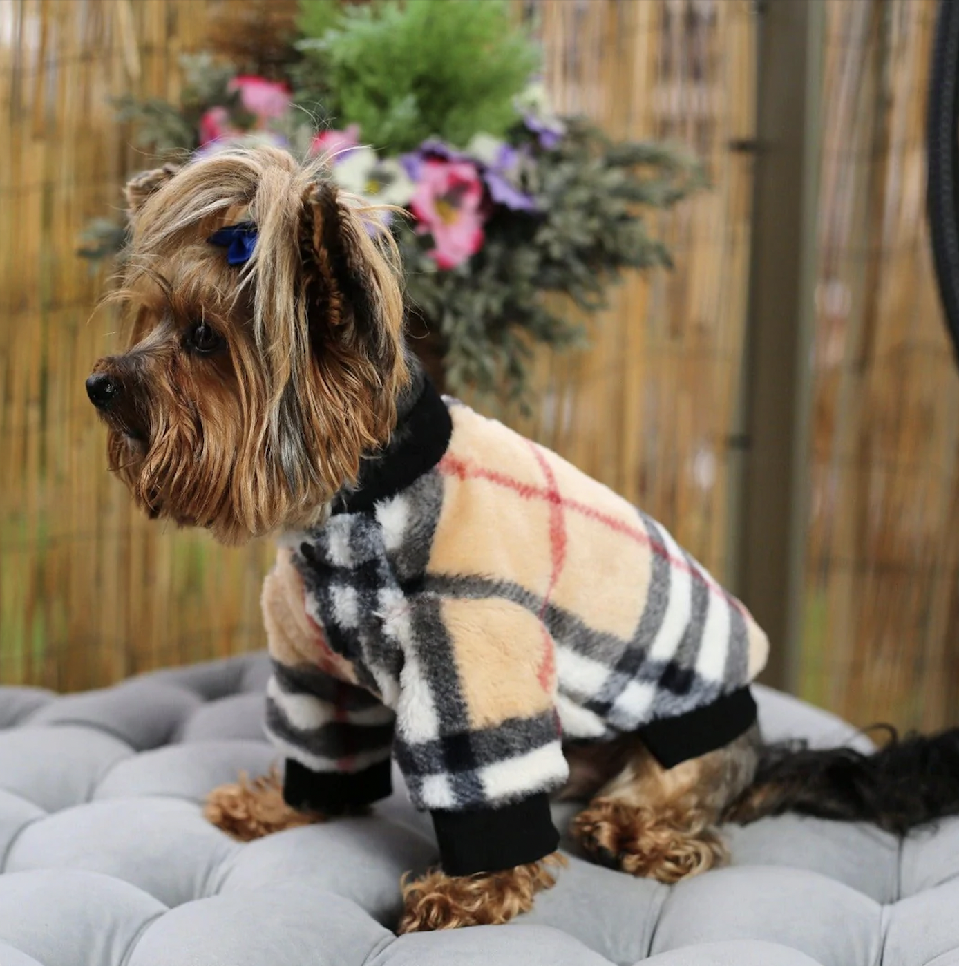 Dog Clearance Burberry Dog Outfits Burberry Dog Jumper Hot Sale