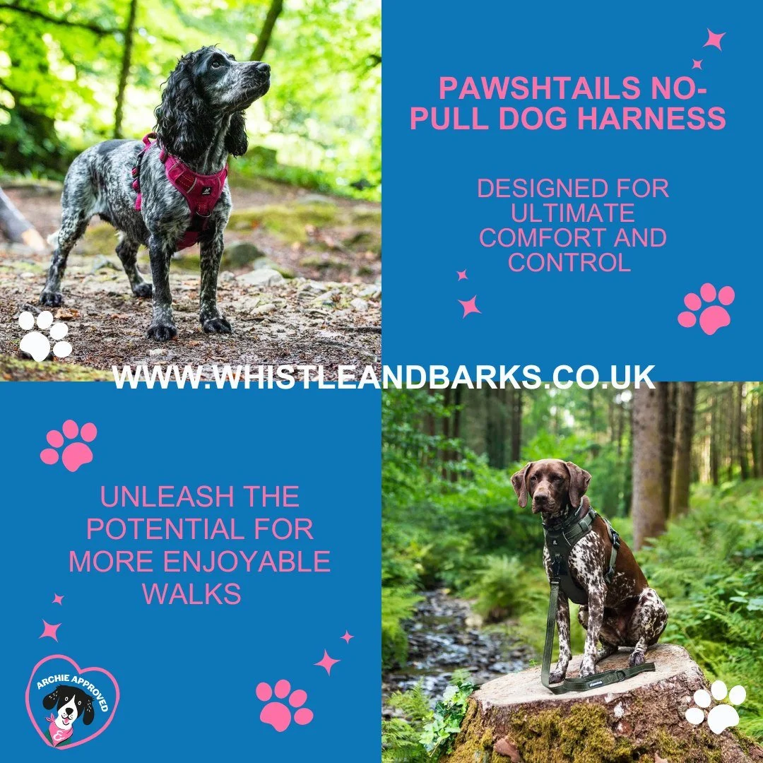 ✨ Walks just got an upgrade! ✨
Meet the Pawshtails No-Pull Dog Harness &mdash; where comfort meets style 🐾💖

Why you (and your dog) will love it:
🐾 No-pull design = zero neck strain
🐾 Breathable, heavy-duty &amp; anti-chafe padding
🐾 Reflective 