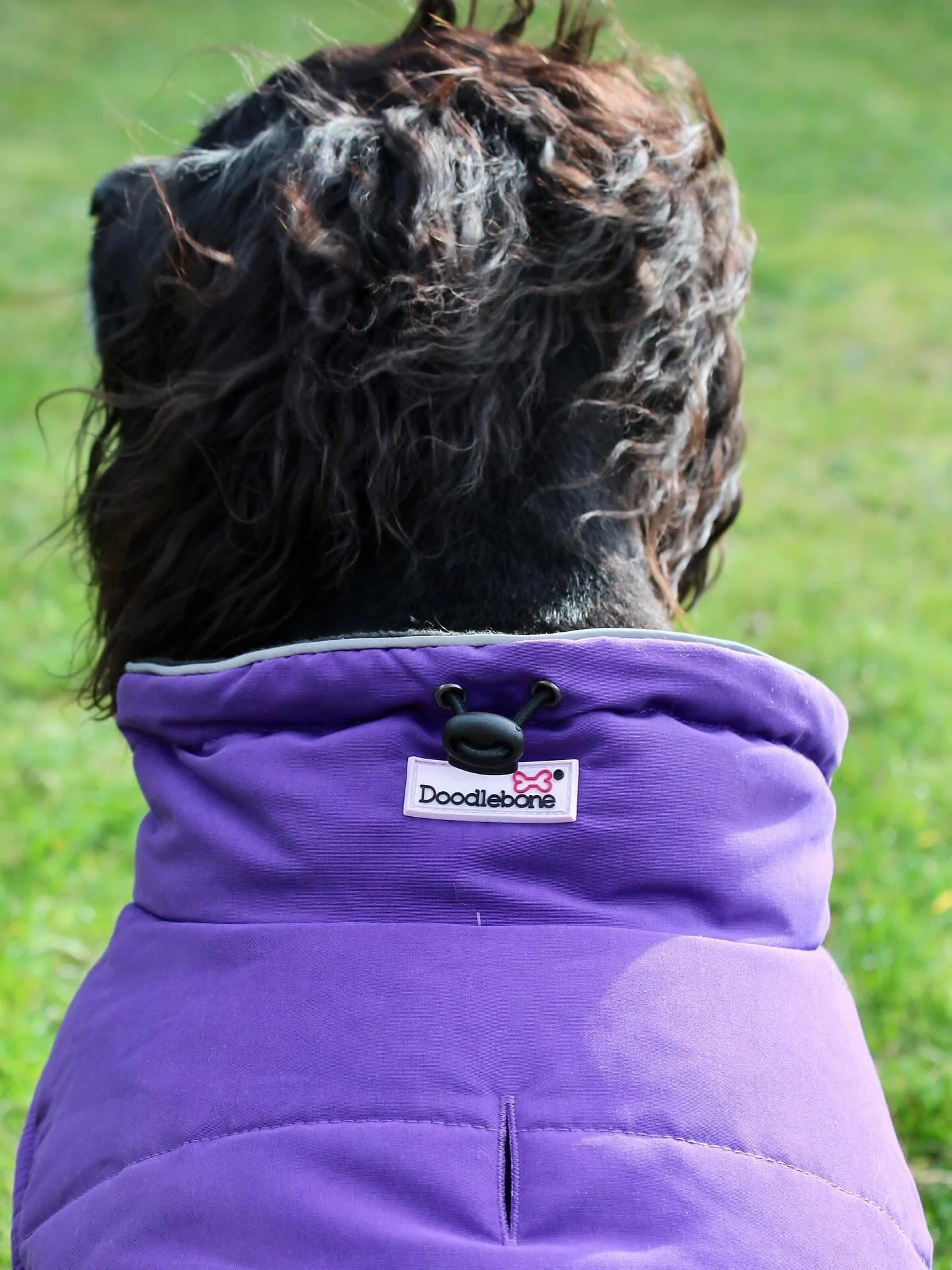 🐾 NEW IN: The Doodlebone&reg; Puffer Jacket ❄️
Keep your furry friend dry, warm, and cosy on winter walkies 🐶✨
Made with water-repellent fabric, a soft fleece lining, and clever details like easy side poppers, an adjustable neck, and reflective tri