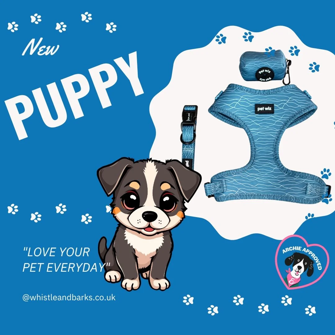 ✨ Puppy Bundle Perfection! 🐾🐶
Your pup&rsquo;s first adventures just got a glow-up. 💕
Pet Wiz  all-in-one matching set has everything you need for those unforgettable first walks:
🐕 Harness
🐕 Lead
🐕 Collar
🐕 Poo Bag Holder
The perfect bundle t