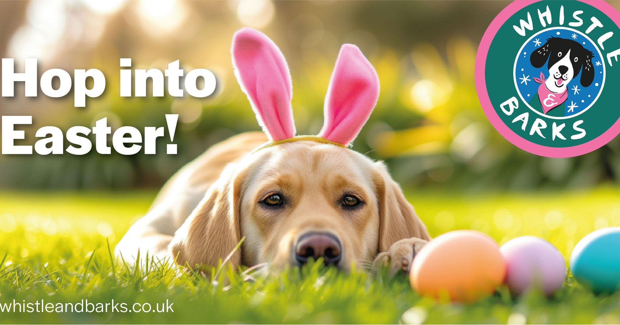 🐣🌸 Hop Into Easter with Whistle &amp; Barks! 🐾💛
Treat your pup this Easter with something special from our boutique collection 🐶✨
From adorable accessories to must-have goodies, we&rsquo;ve got everything to make tails wag this spring!
🐕 Stylis