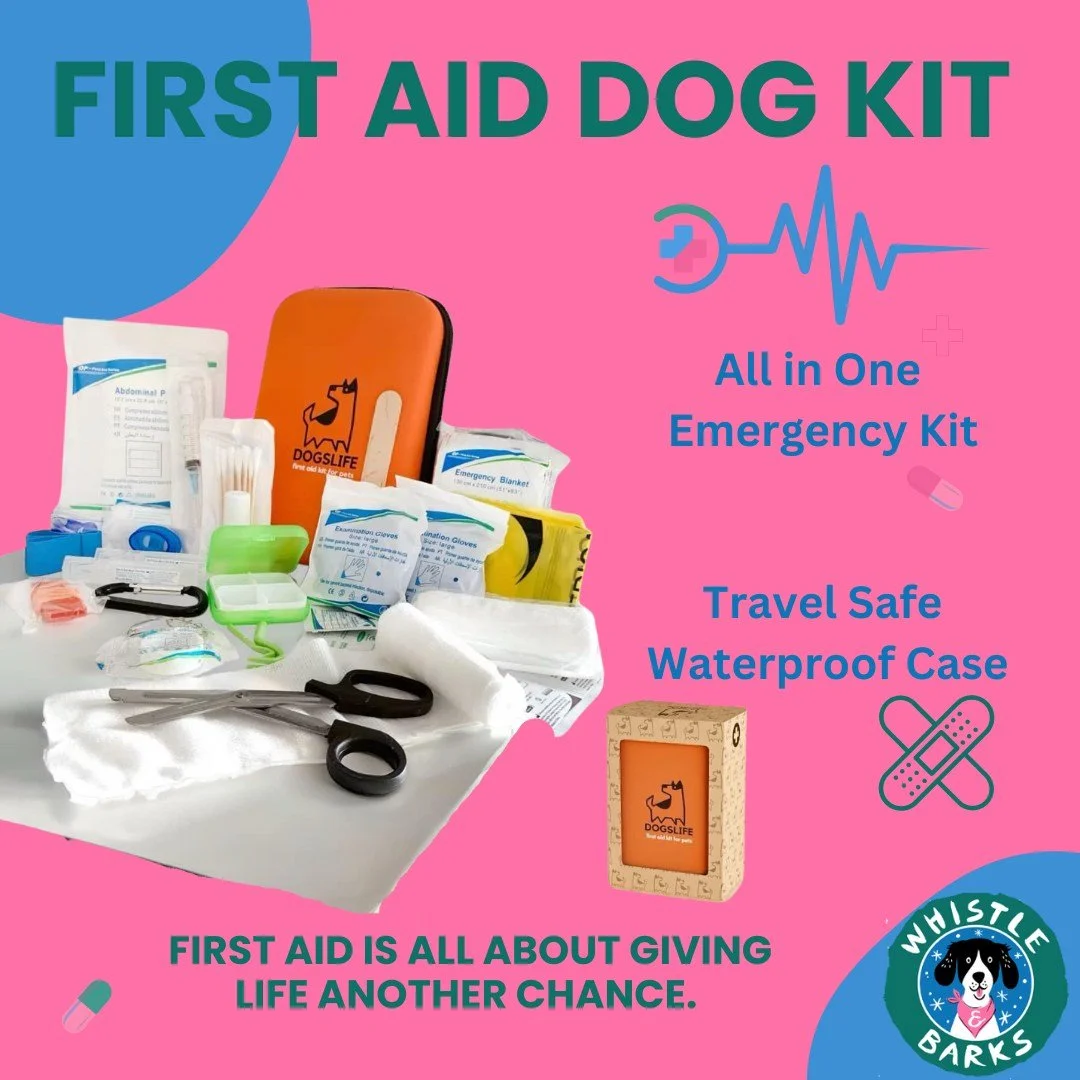 🐾 Stay Prepared for Your Pup! 🐶✨
Every dog parent knows&mdash;accidents can happen anytime. That&rsquo;s why our Dog First Aid Kit is a must-have! 🚑🩹 From tick removal to insect bites and those unexpected emergencies, this kit has you covered.
✔️