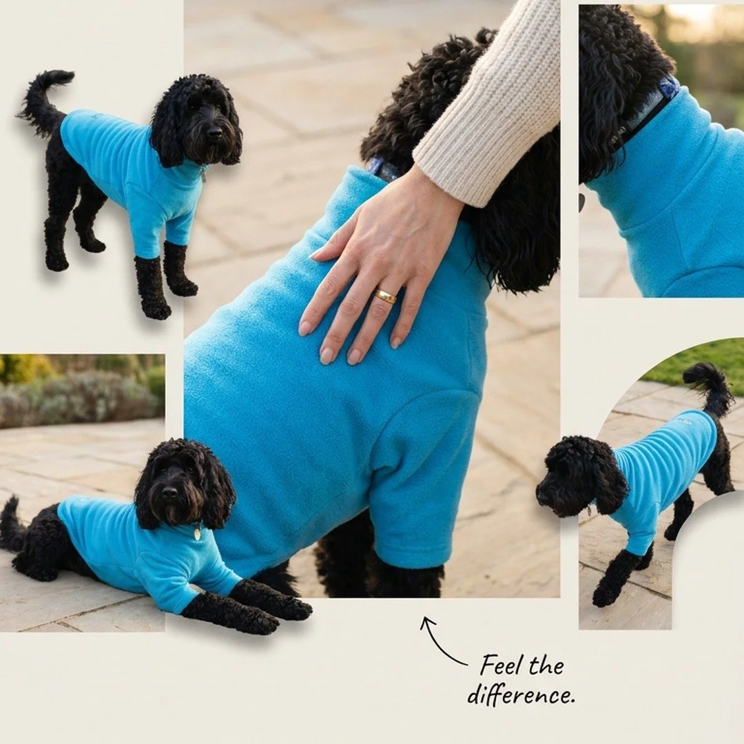 Wrap your furry best friend in cozy comfort and bold style with our premium dog jumper 🐾✨ Designed for playful dogs on the go, it delivers warmth without limiting movement&mdash;perfect for every outdoor adventure. Keep your dog snug, stylish, and r