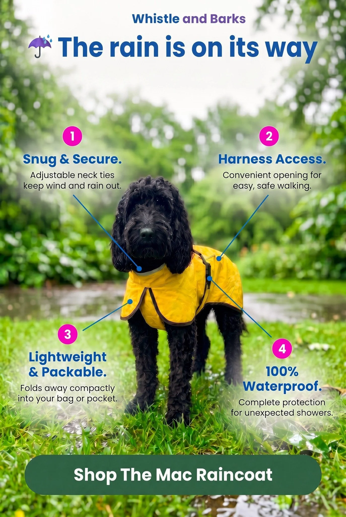 🌧️🐾 The rain is on its way&hellip;
Don&rsquo;t let a little rain stop those all-important walks! ☔️🐶
Our Whistle &amp; Barks Mac Raincoat is lightweight, practical and stylish &mdash; perfect for keeping your pup dry when the heavens open. 💛
☔️ 1