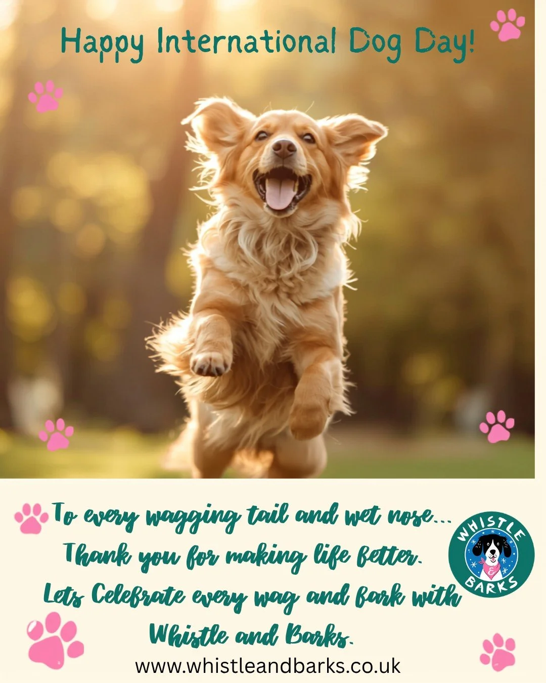 🐾 Happy International Dog Day! 🐾
Today is a chance to celebrate the dogs who make every day a little more fun &mdash; from muddy walks and countryside adventures to those cosy moments at home. 🐶❤️
Every dog has their own personality, their own lit