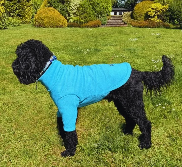🐾 Keep your dog cozy, stylish, and adventure-ready! 🐾
Introducing our Polar 2-Ply Fleece Dog Jumper &mdash; the perfect weather essential for dogs who love comfort and freedom to move.
✨ Why dog owners love it:
✔ Soft, warm polar 2-ply fleece
✔ Lig
