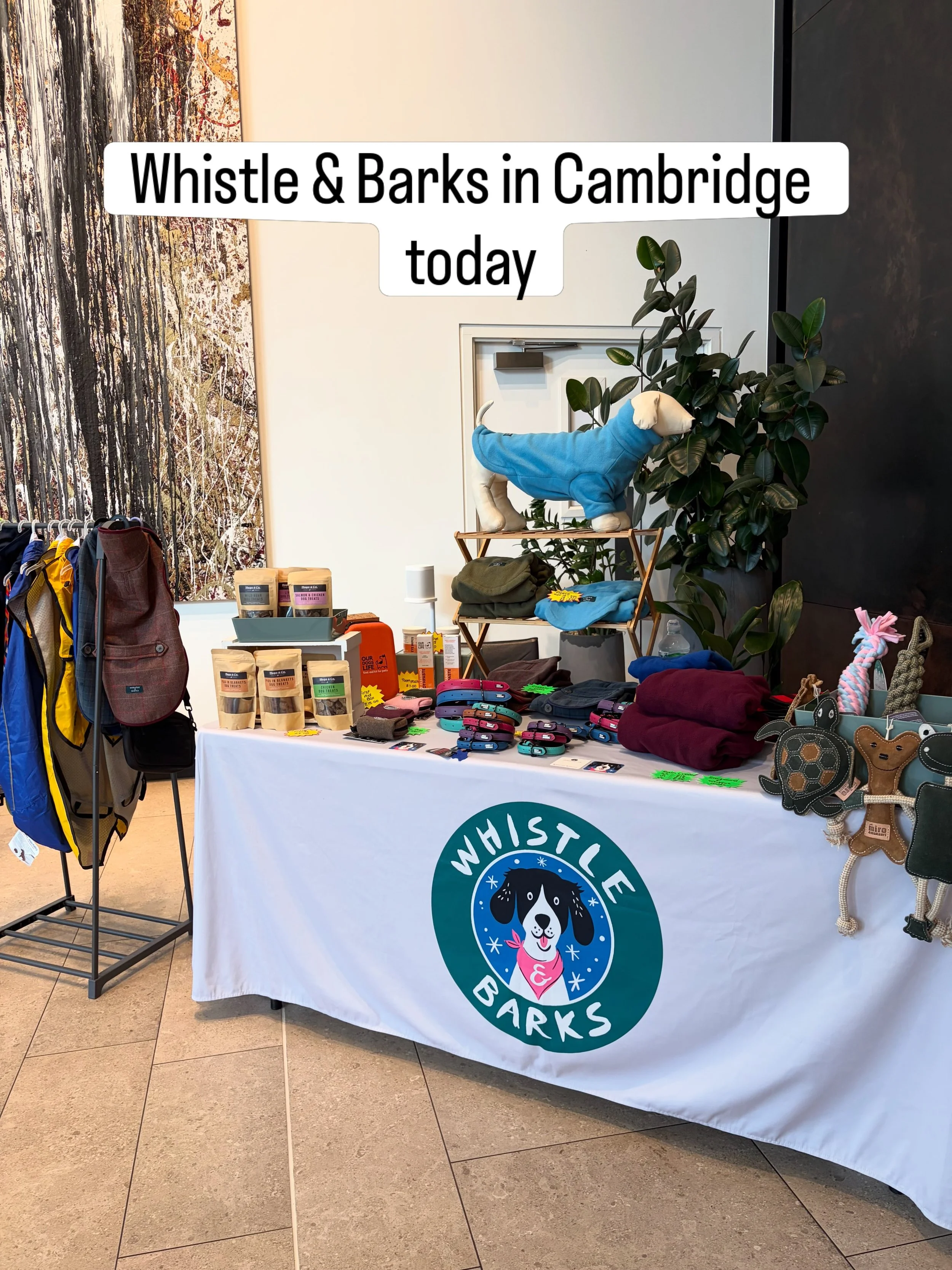 🐾 We&rsquo;re in Cambridge today! 🐾
Whistle &amp; Barks, your go-to dog boutique, is here today with something special for every four-legged friend. 🐶💕

From designer coats for big and small dogs &mdash; sighthounds to dachshunds and everything i