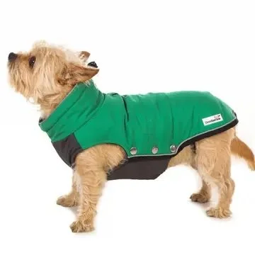 puffer green.jpg