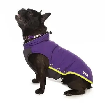 puffer violet.jpg