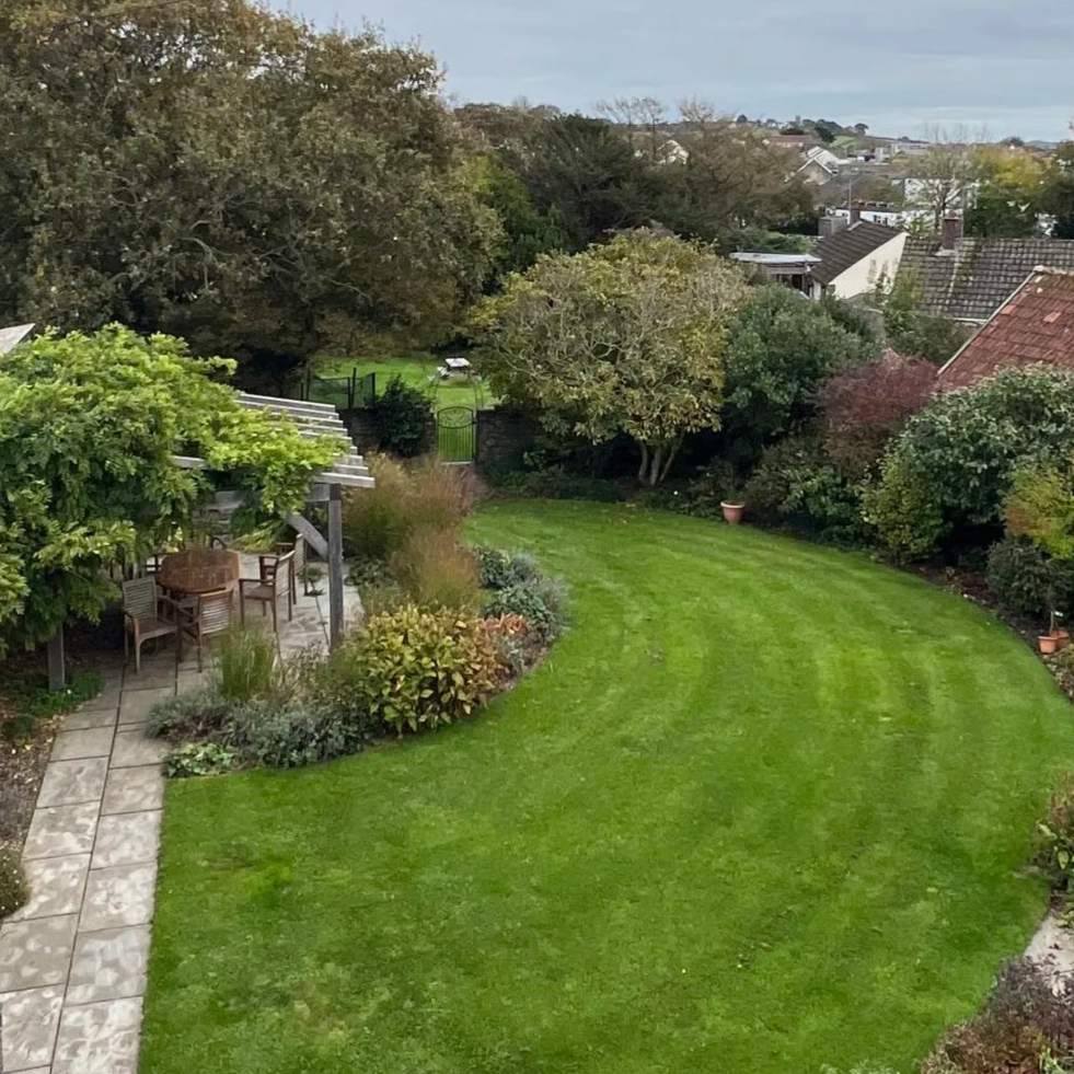 An aerial view of the new lawn and patio area showing extensive plant growth