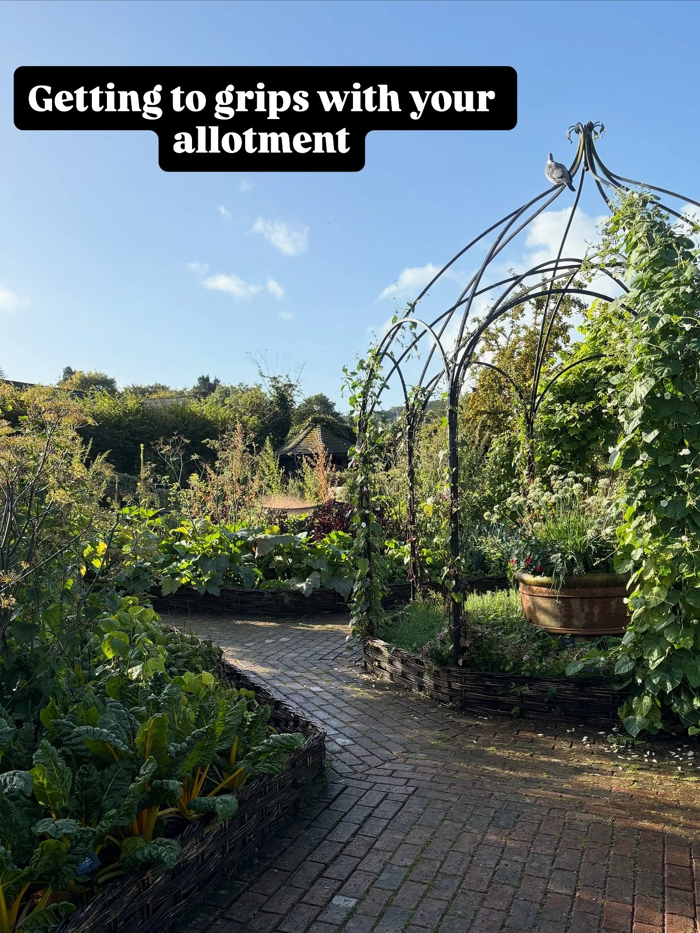 &lsquo;Getting to grips with your allotment&rsquo;. Last Saturday was the seventh session in this series of courses @rhsrosemoor. Great to hear how these sessions are helping everyone learn how to make the most of their allotments. Looking forward to