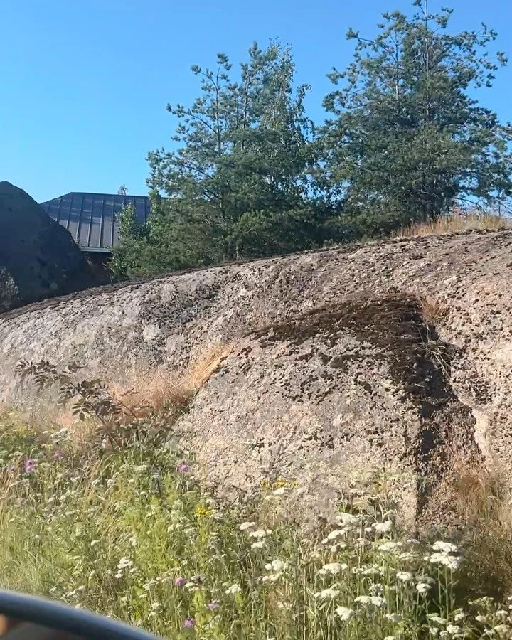 🇫🇮Finland so far. Stone the size of a house. Amazing Alchemilla mollis. Huge hare. Great Airbnb!😎
#alchemilla #finland