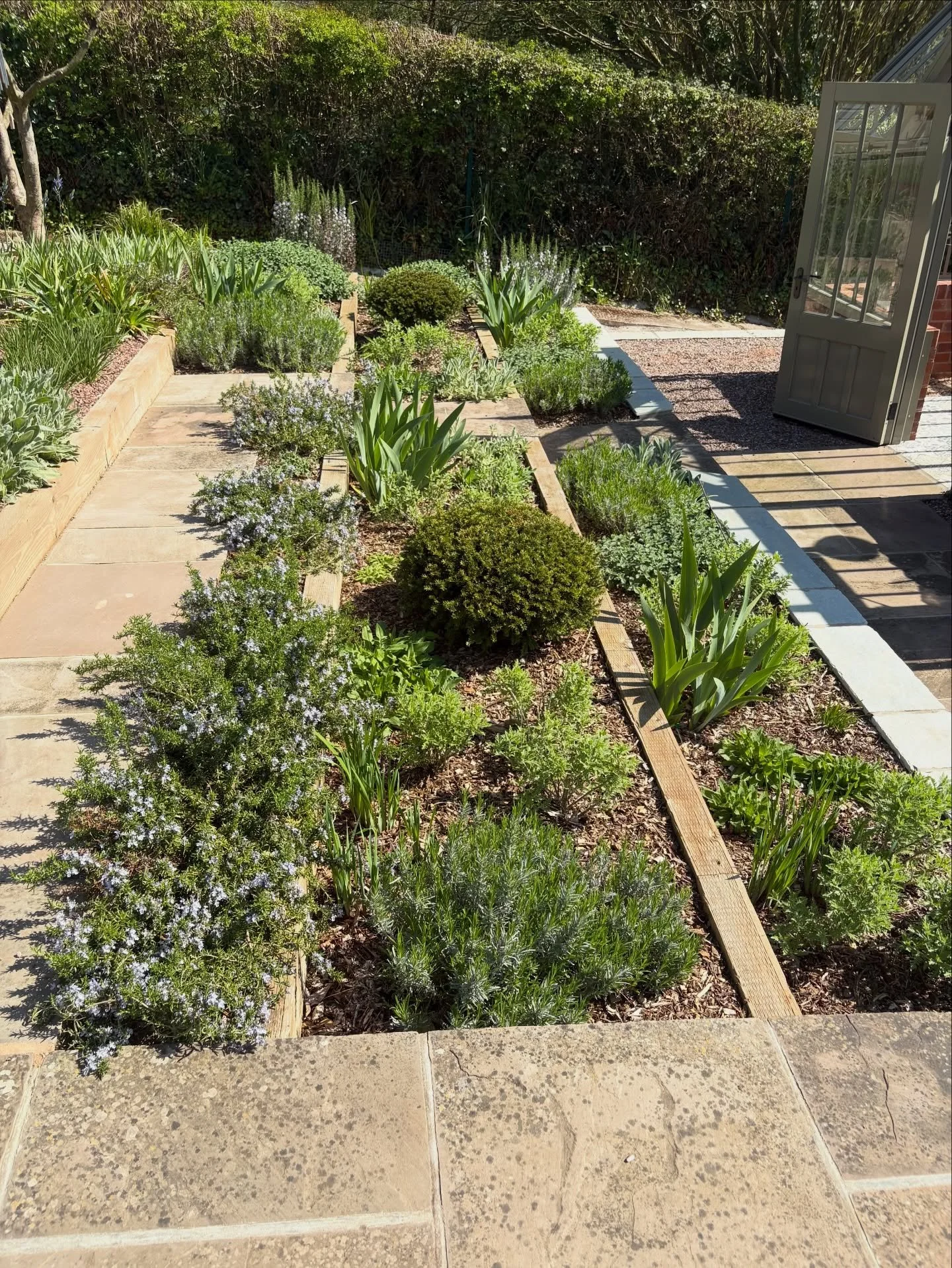A lovely visit to a client&rsquo;s garden in East Devon. This time last year we were finalising the planting plans and getting ready for planting.
Returning this Spring to review how the garden is developing and beginning to work on designs for the f
