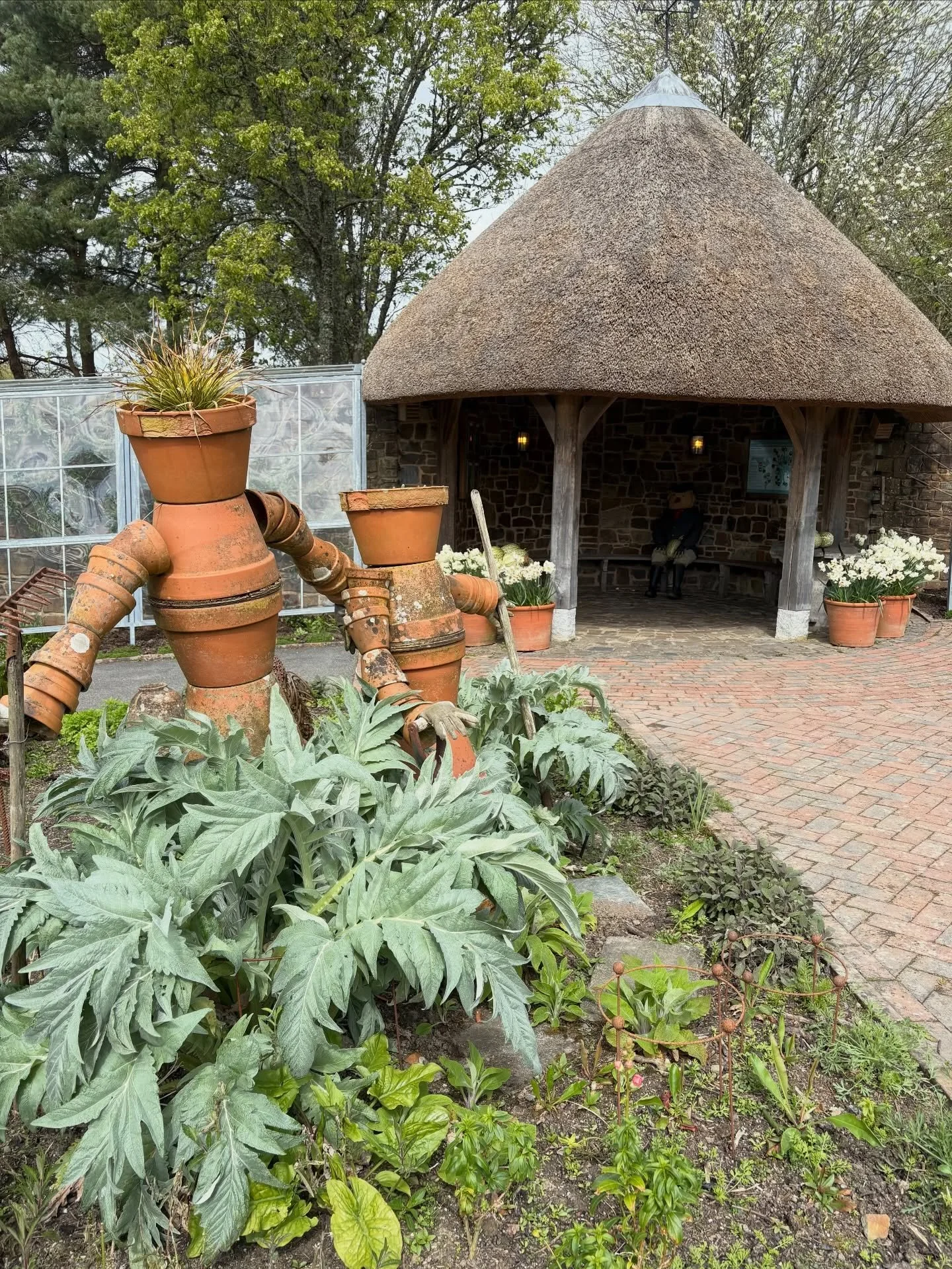 Another enjoyable day teaching @rhsrosemoor - &lsquo;Getting to grips with your allotment&rsquo;. Lots of inspiration in the garden today and looking forward to next month&rsquo;s session.
1. Productive garden
2. Potatoes trail
3. Crab apple blossom 
