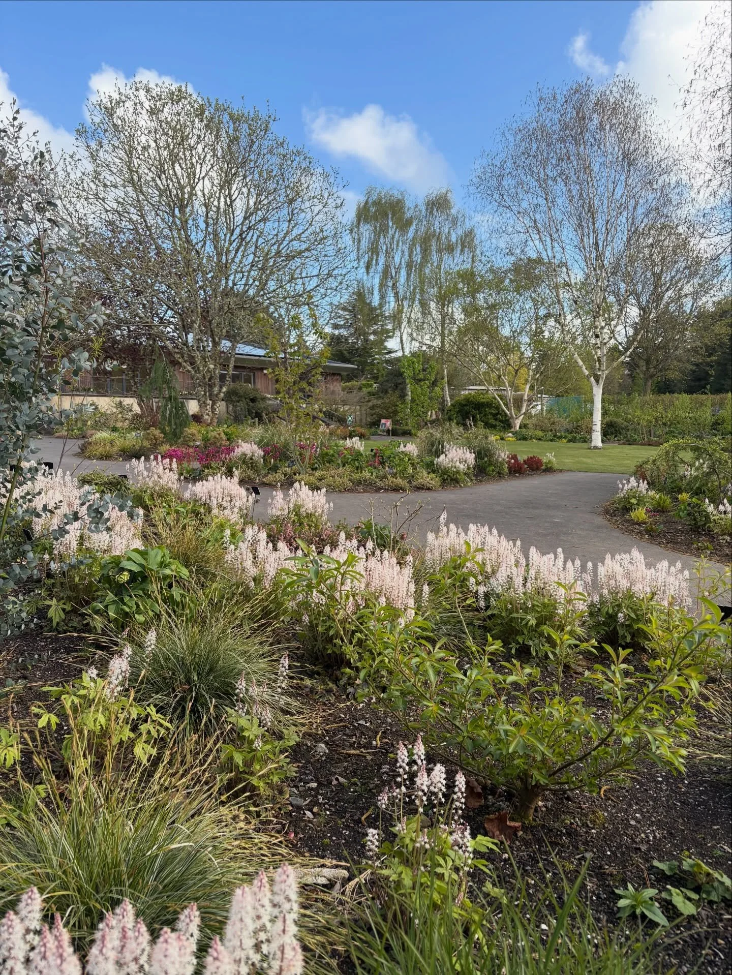 &lsquo;Design your own garden&rsquo; course at RHS Rosemoor yesterday.
A great day teaching the basics of  garden design in such an inspirational setting. 
We were lucky to find the sunshine between the rain.
Looking forward to the next sessions!
Vis