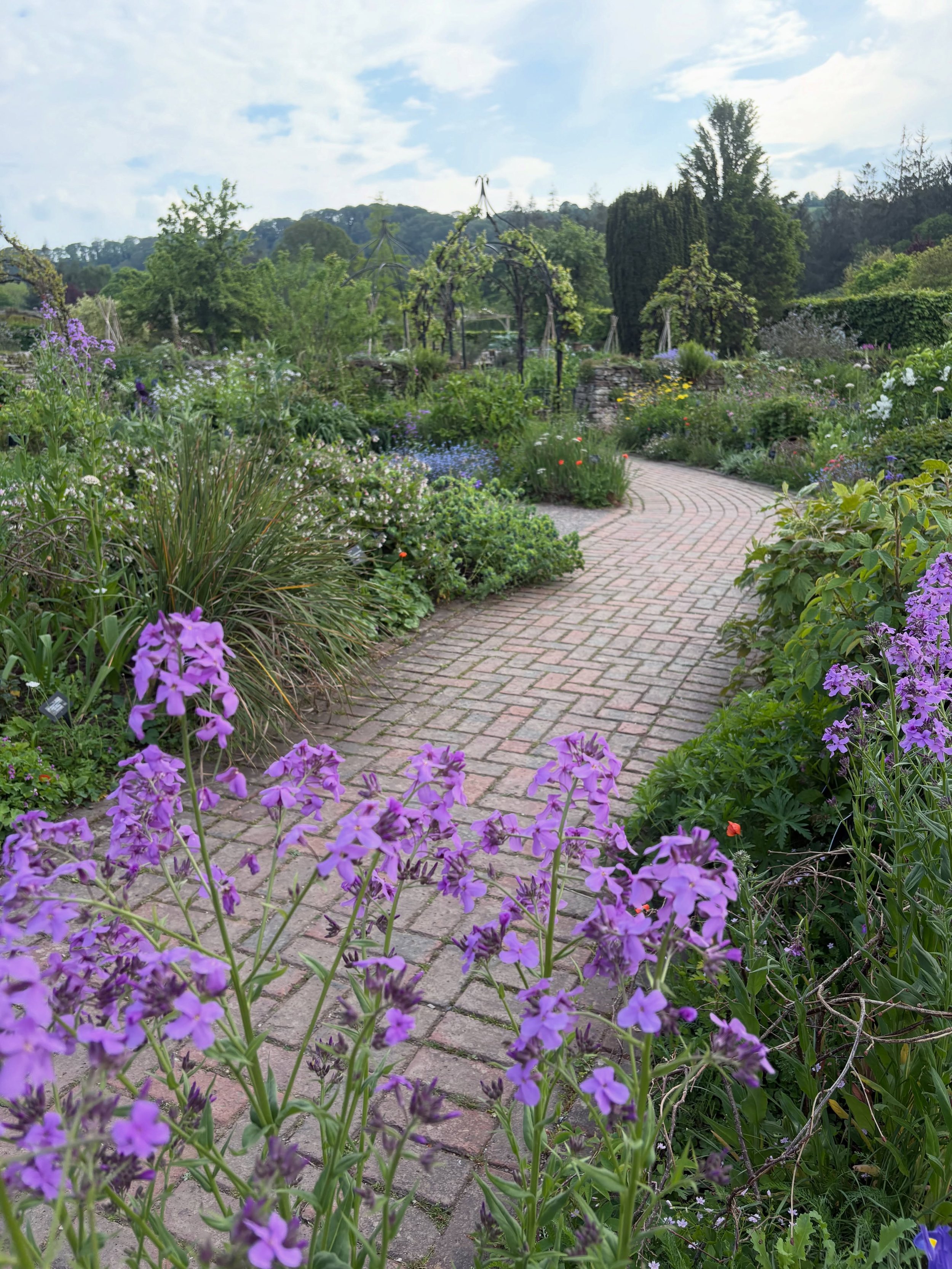 I&rsquo;ve been busy teaching @rhsrosemoor recently. Garden design, allotments and ponds courses.
Still lots more adult learning courses later this summer. 😀💚
#gardening #gardendesign 
#ponds
#allotments