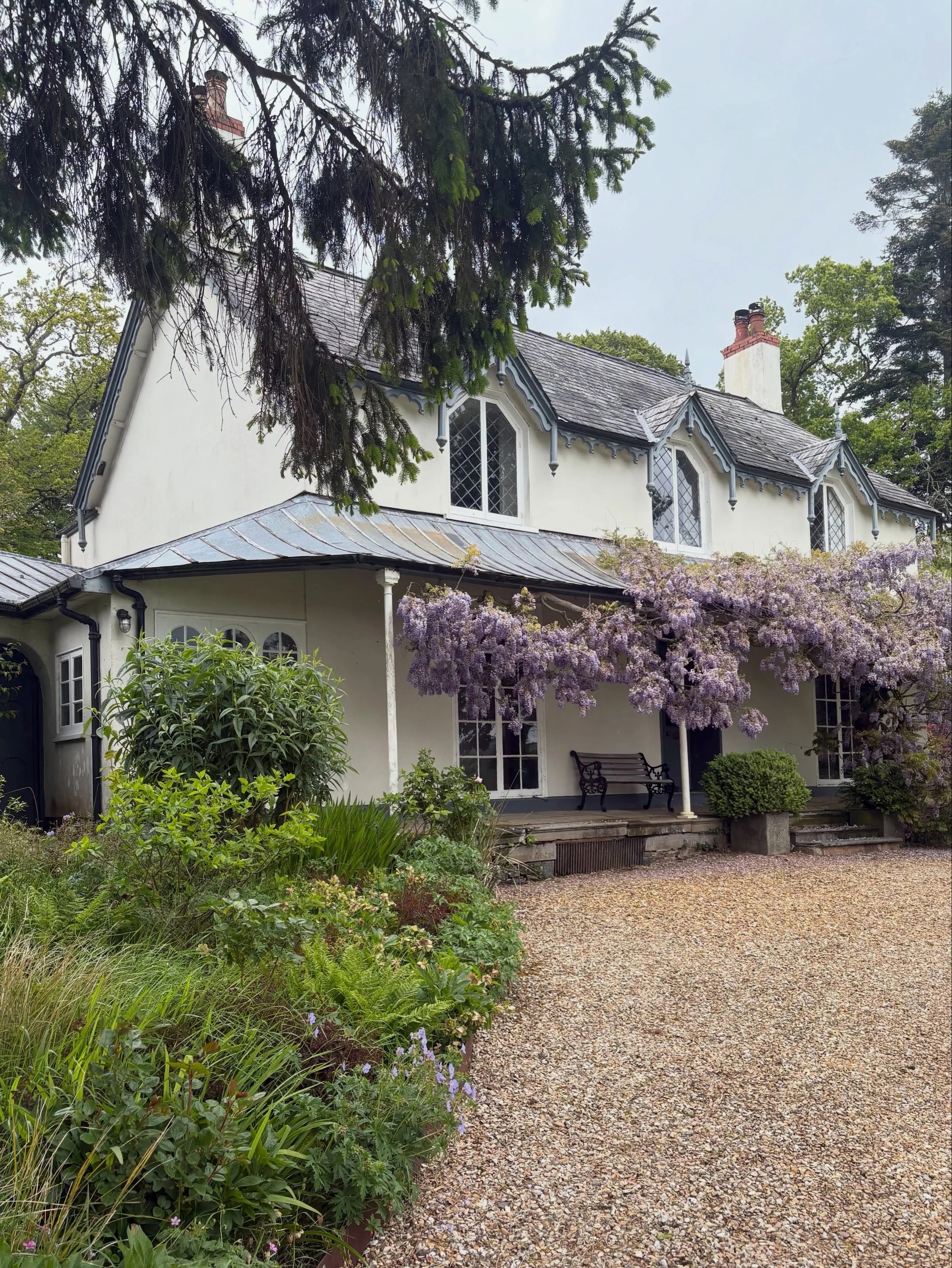 Lovely relaxing visit to @ngsdevon Bradford Tracy House today. Great location and thoughtfully designed garden that has a beautiful old Wisteria, Japanese tea house and a lovely lake. Great vegan banana cake and quality Norwegian log pile. 🪵💚
#nati