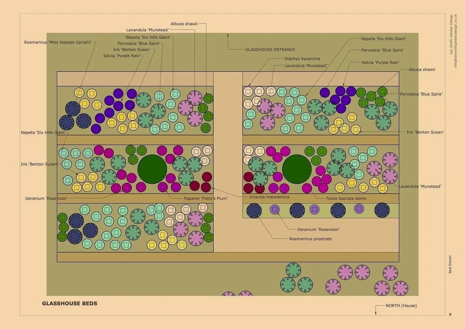 Planting plan of garden in East Devon. Unusual plants - right plant right place