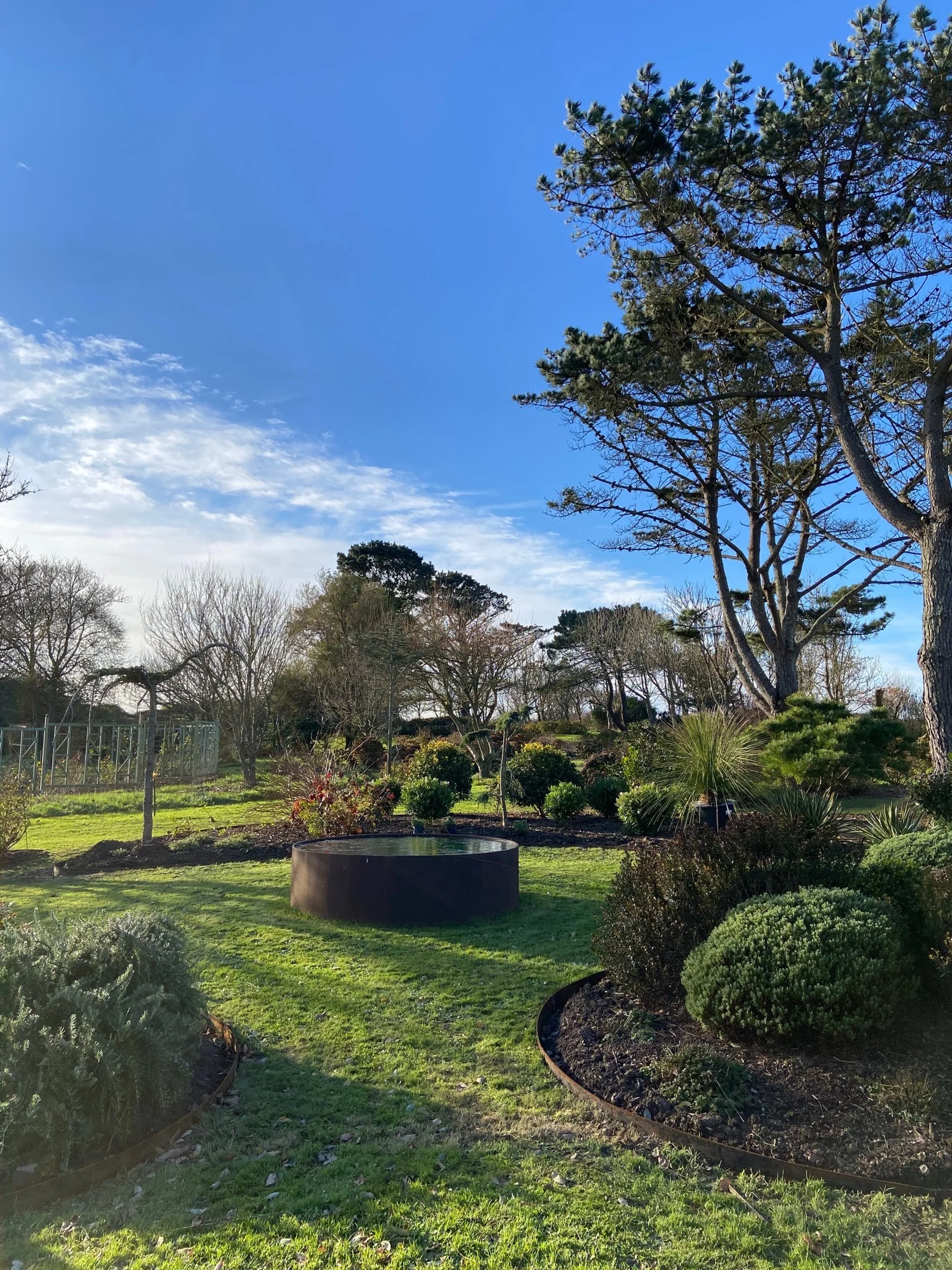 The evergreen border, with raised pond and stunning trees against beautiful blue Cornish skies