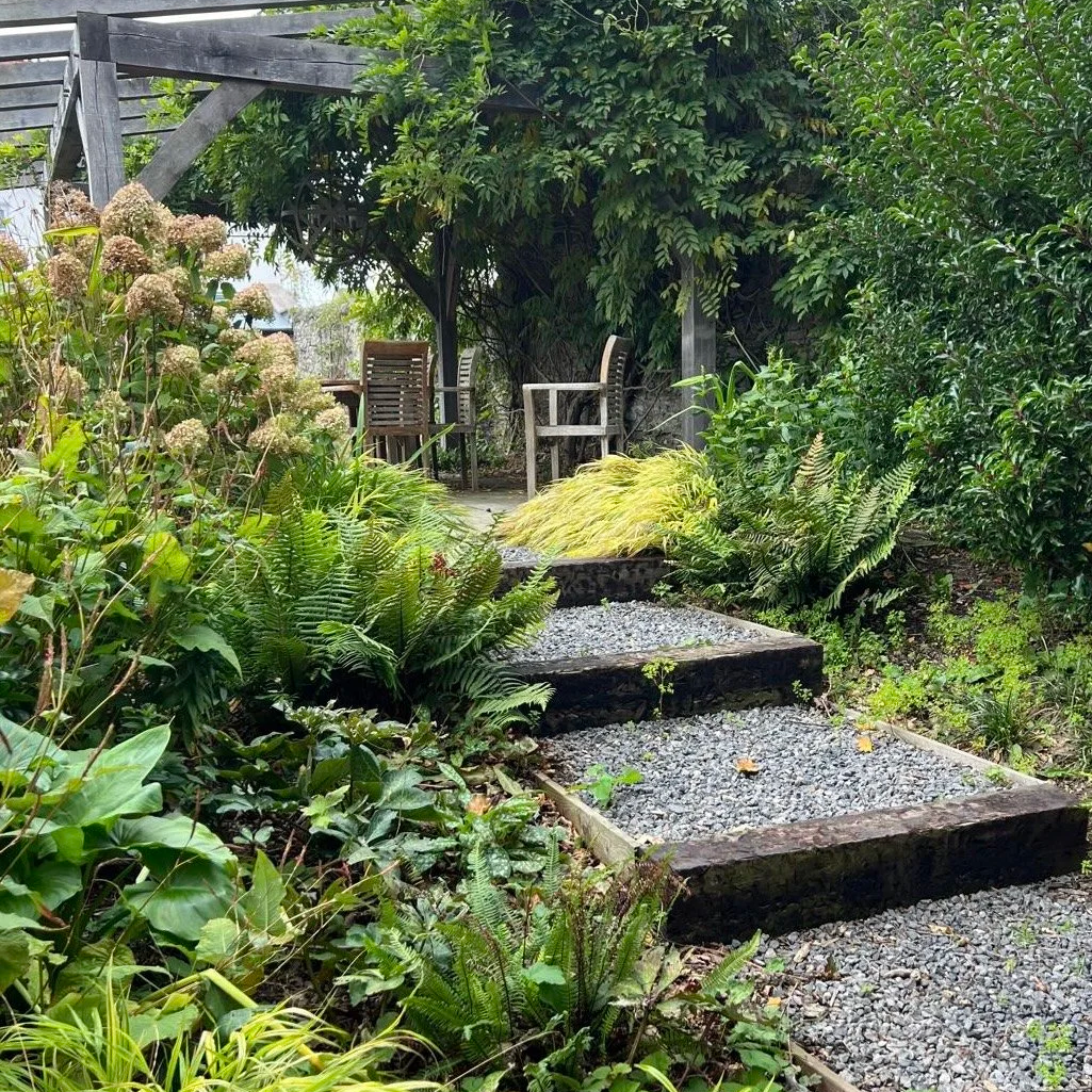 The new steps up to the patio at North Street garden, showing lush green plants, ferns, hosts and grasses