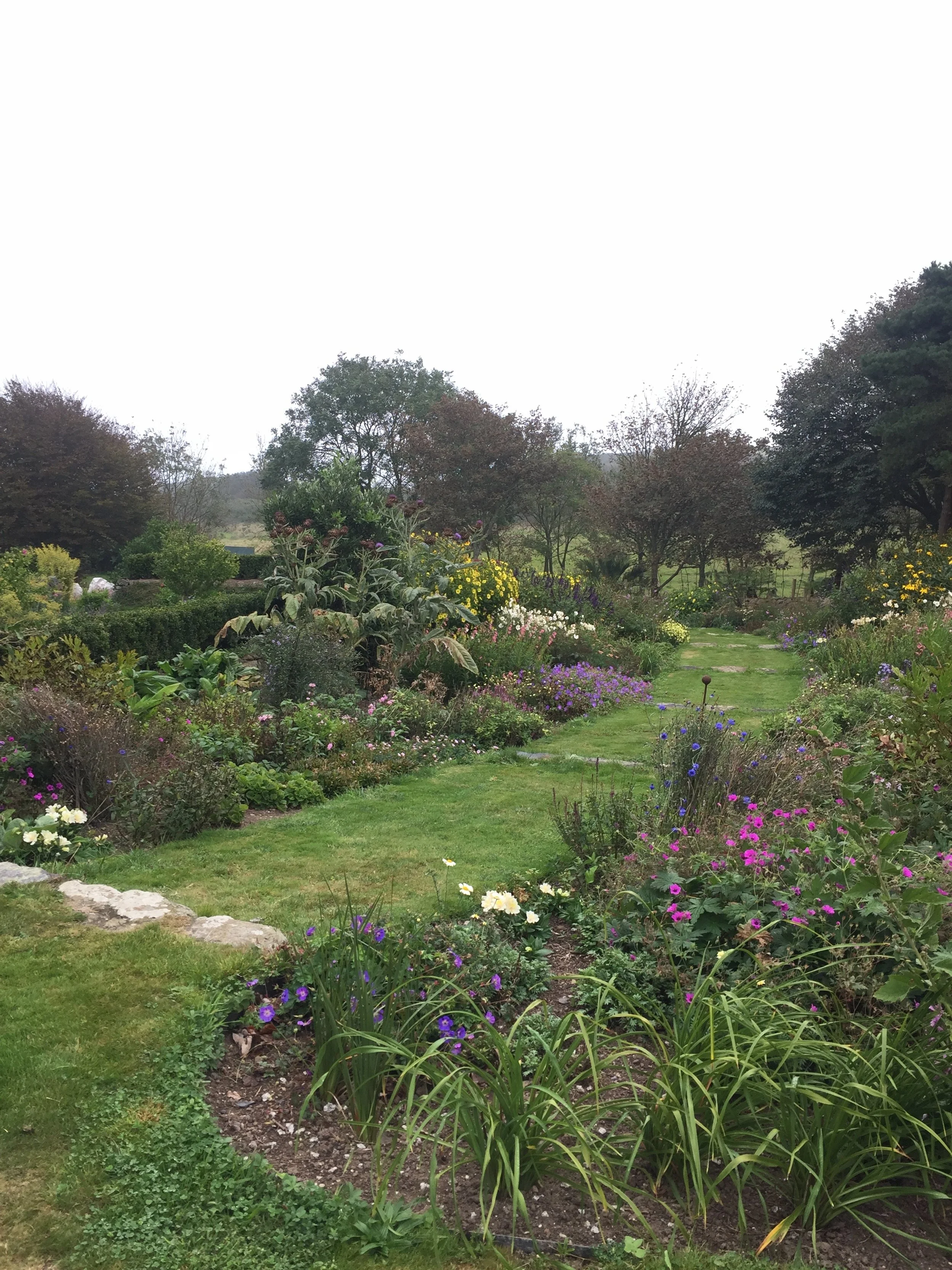 The new herbaceous borders in full bloom