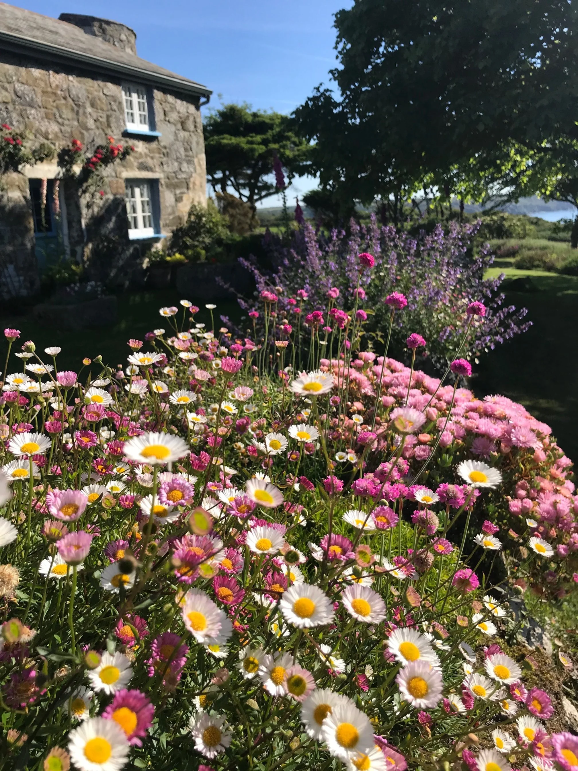 Colourful planting in the cottage garden