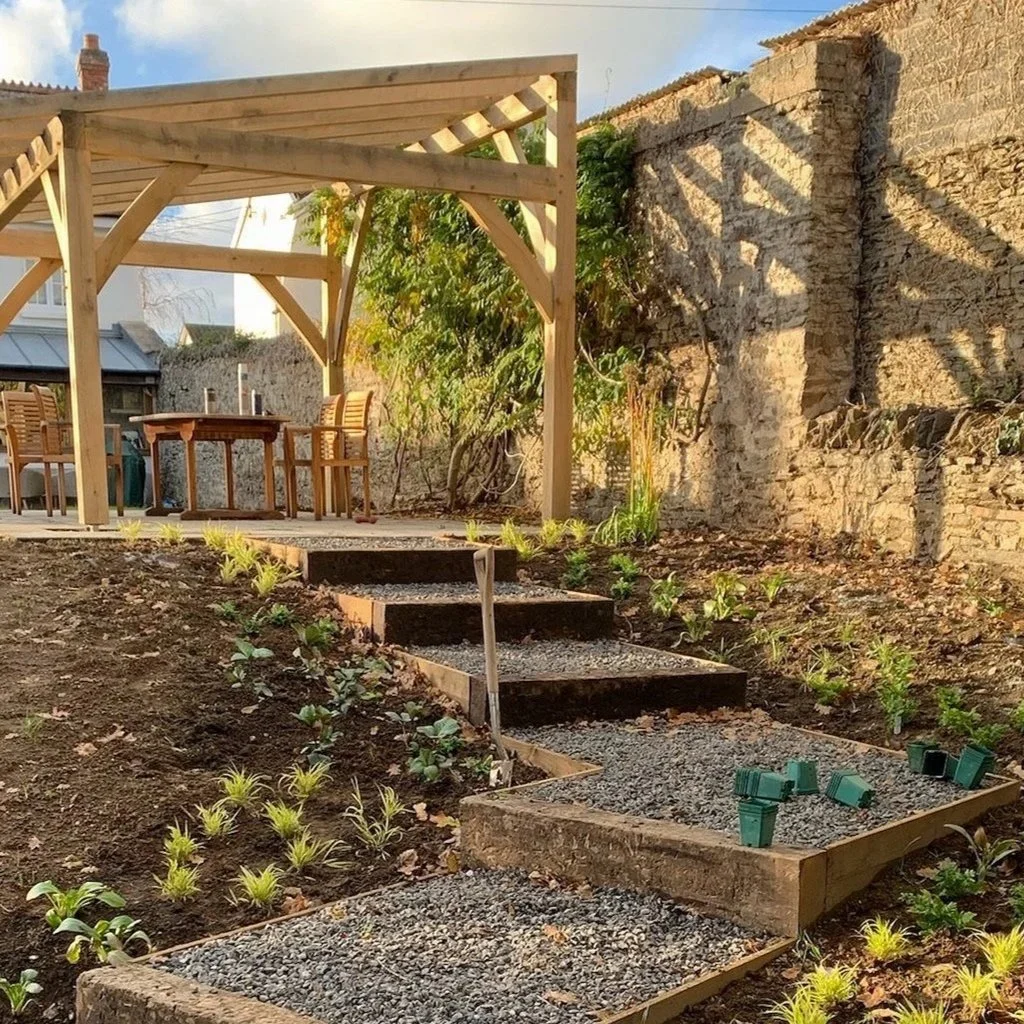 The new steps leading to the patio area at North Street garden, showing newly planted ferns and grasses going in