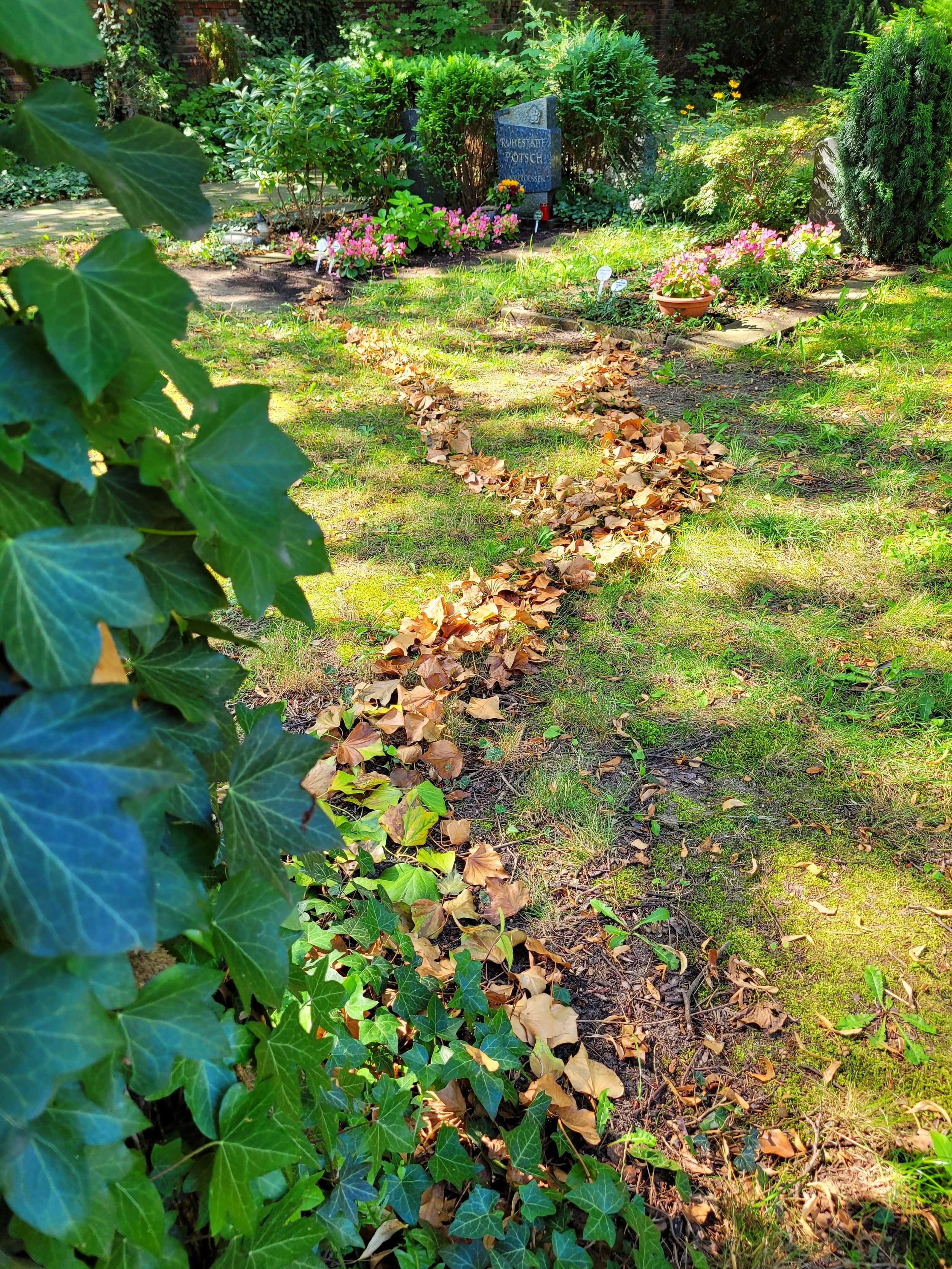 Paths of Souls I, 2024, found fallen leaves, Kirchhof Dorotheenstadt III Cemetery, Berlin
