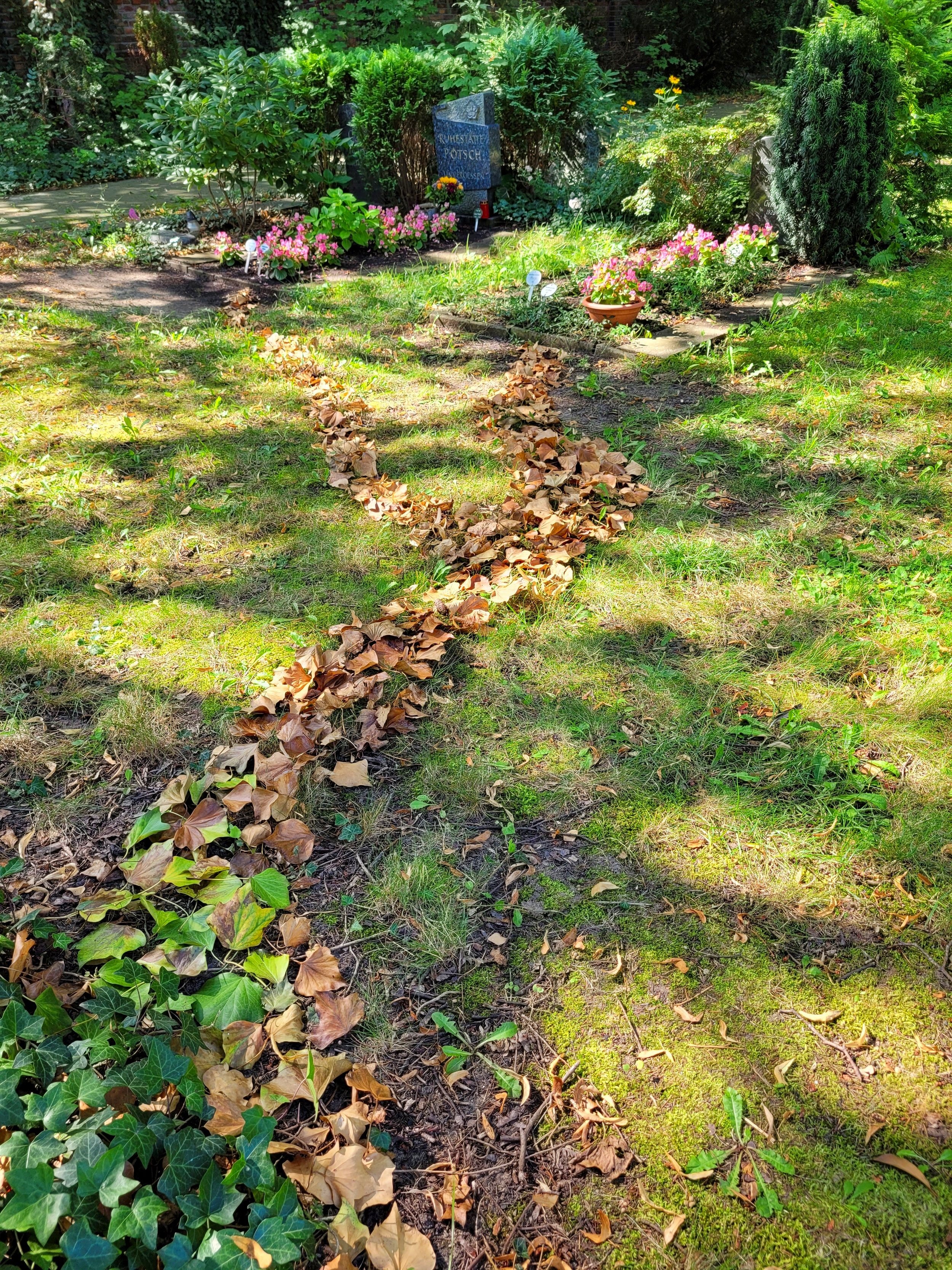 Paths of Souls I, 2024, found fallen leaves, Kirchhof Dorotheenstadt III Cemetery, Berlin