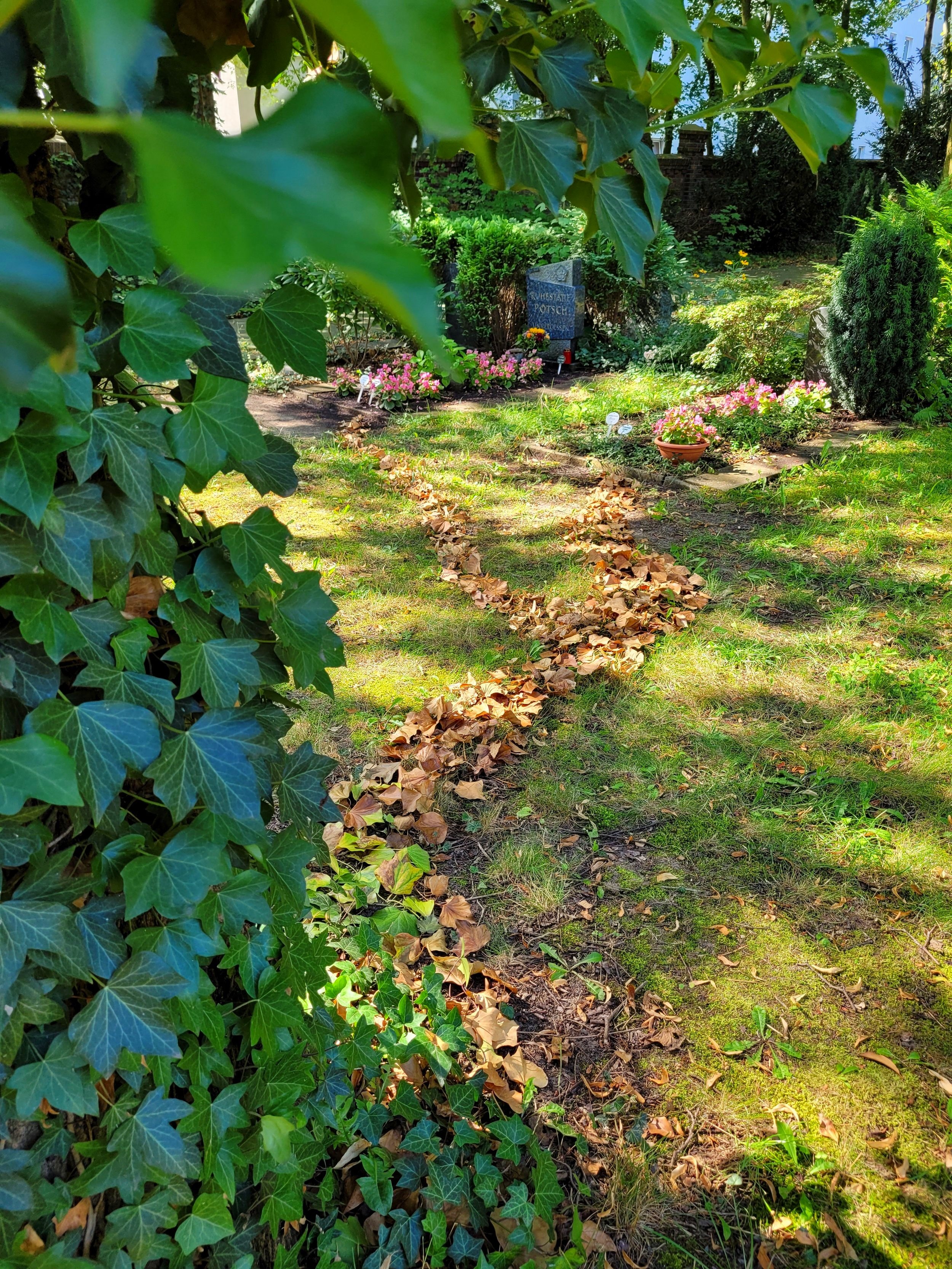 Paths of Souls I, 2024, found fallen leaves, Kirchhof Dorotheenstadt III Cemetery, Berlin