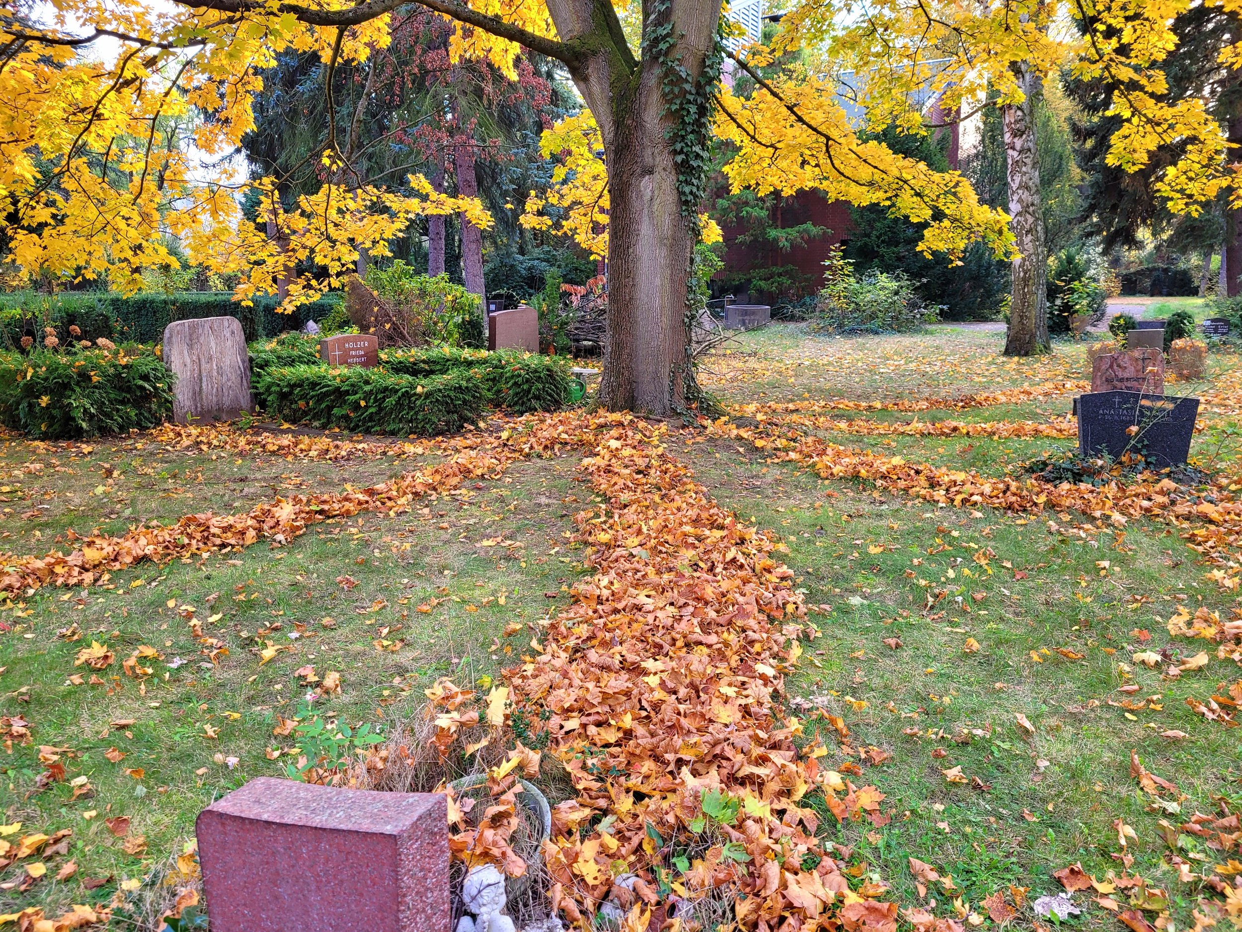 Paths of Souls II, 2024, found fallen leaves, Kirchhof Dorotheenstadt III Cemetery, Berlin