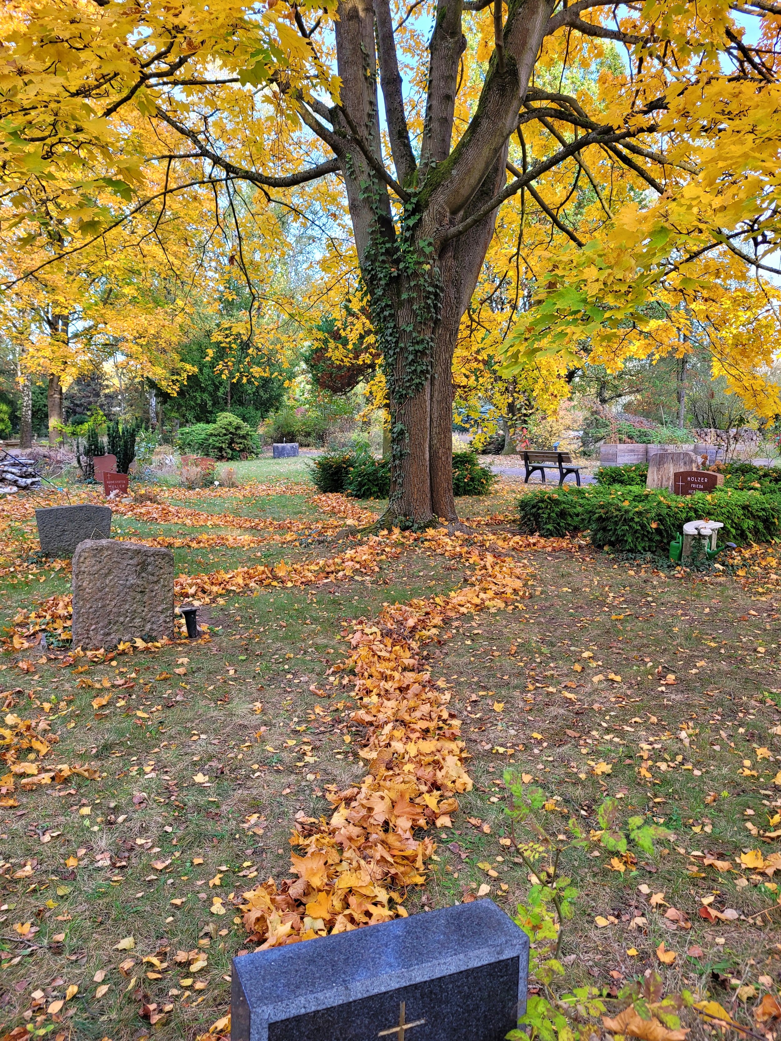 Paths of Souls II, 2024, found fallen leaves, Kirchhof Dorotheenstadt III Cemetery, Berlin