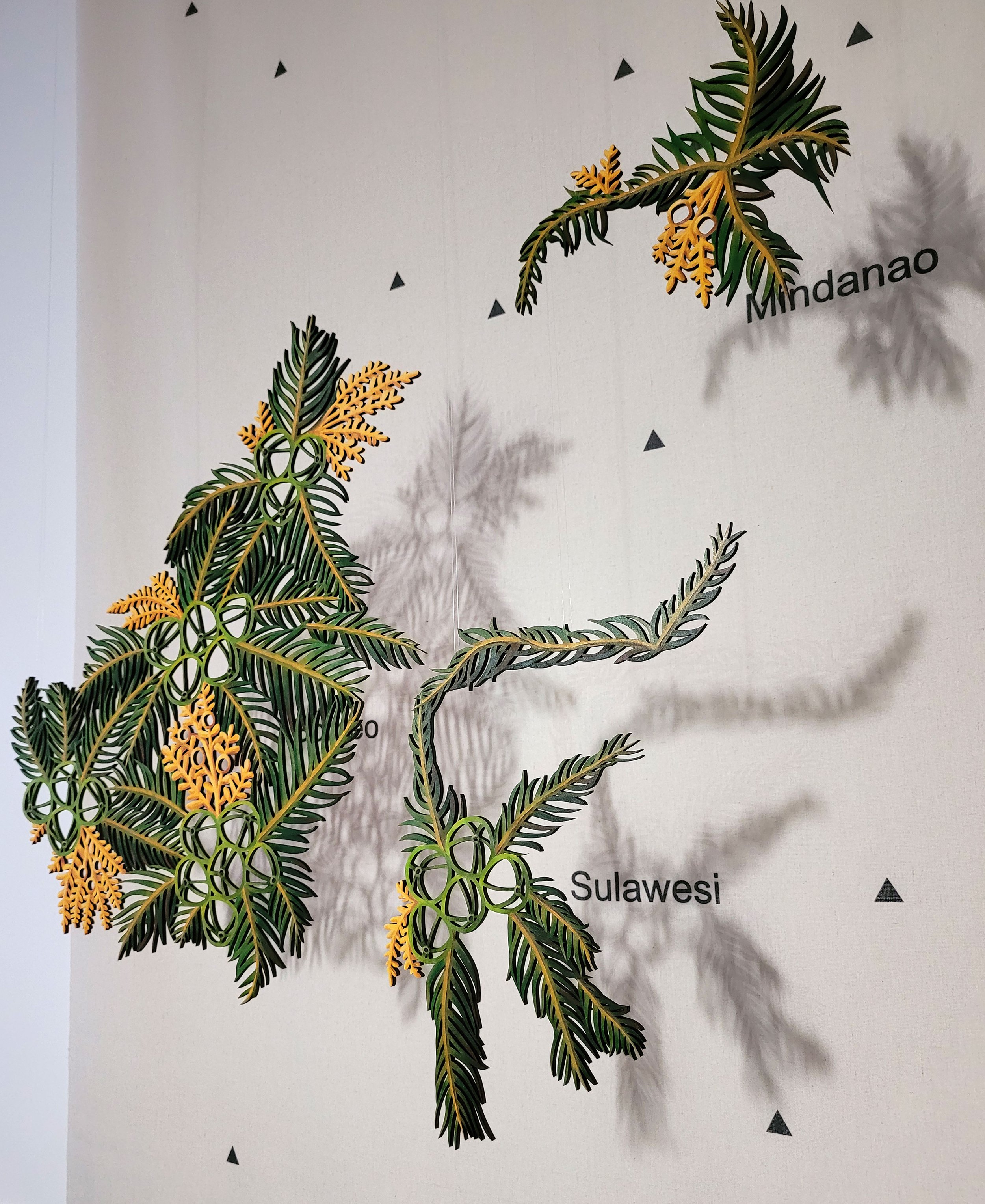 Tracing Origins - Coconut, 2025, mixed media