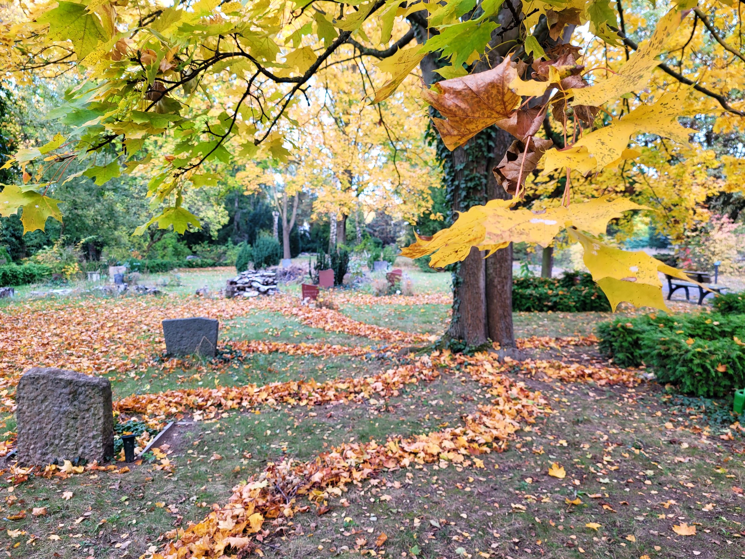 Paths of Souls II, 2024, found fallen leaves, Kirchhof Dorotheenstadt III Cemetery, Berlin