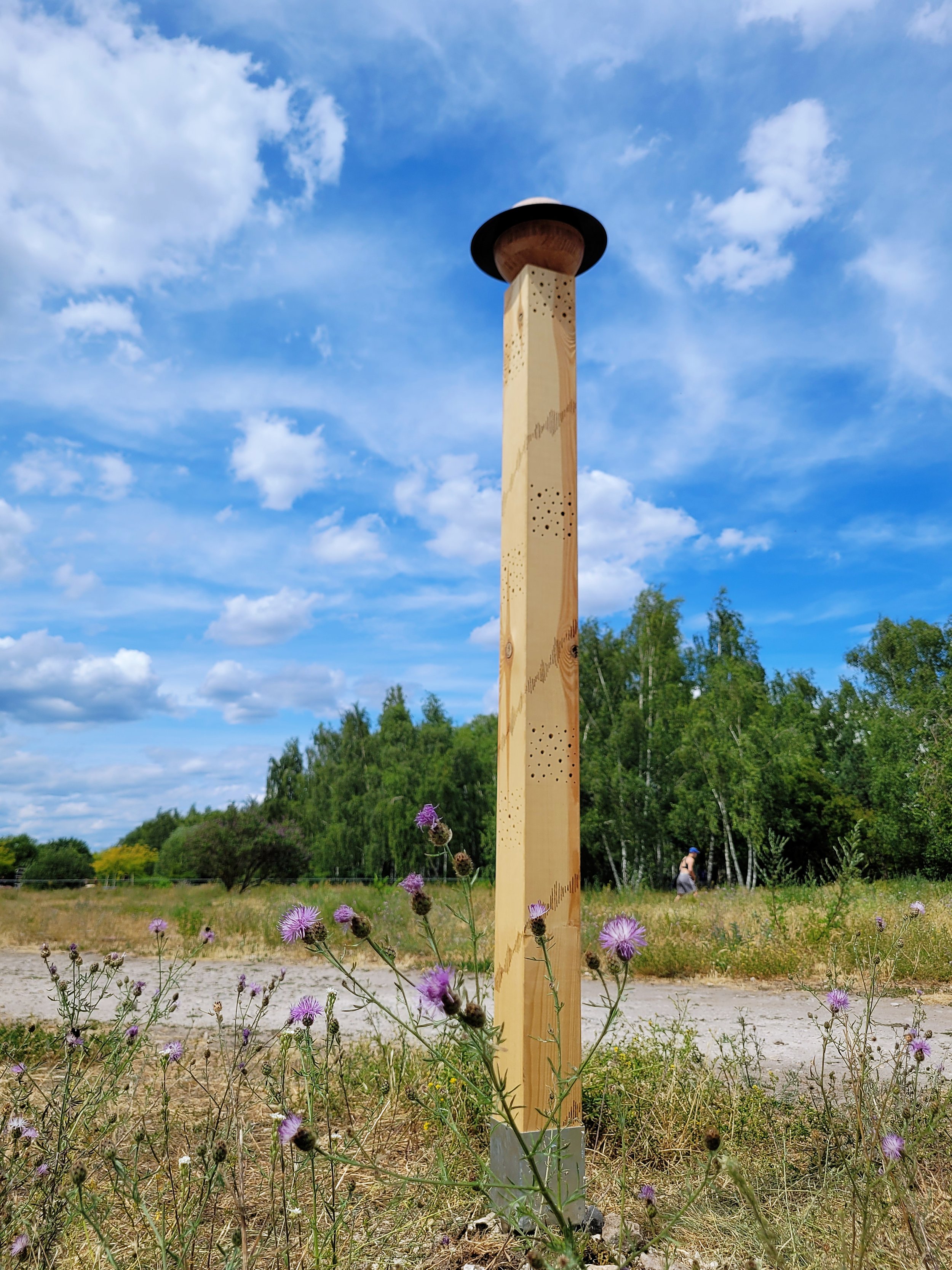 Nord Buzzpost, 2025, pine wood, found vinyl record and bamboo bowls, 200 x 12 x 12 cm