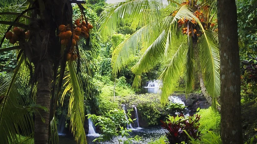 Afu Aau Waterfalls Samoa